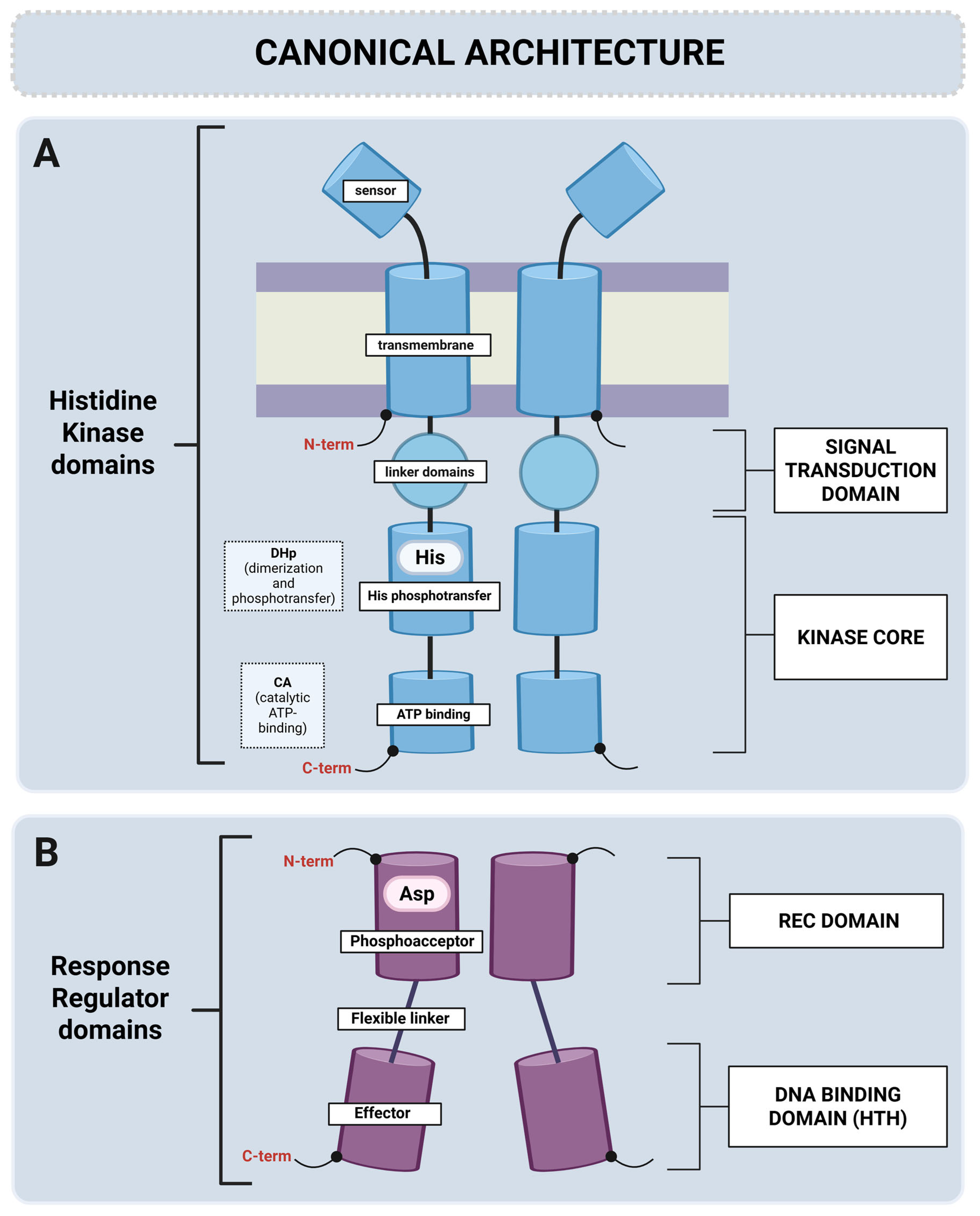 Microorganisms 13 02013 g001