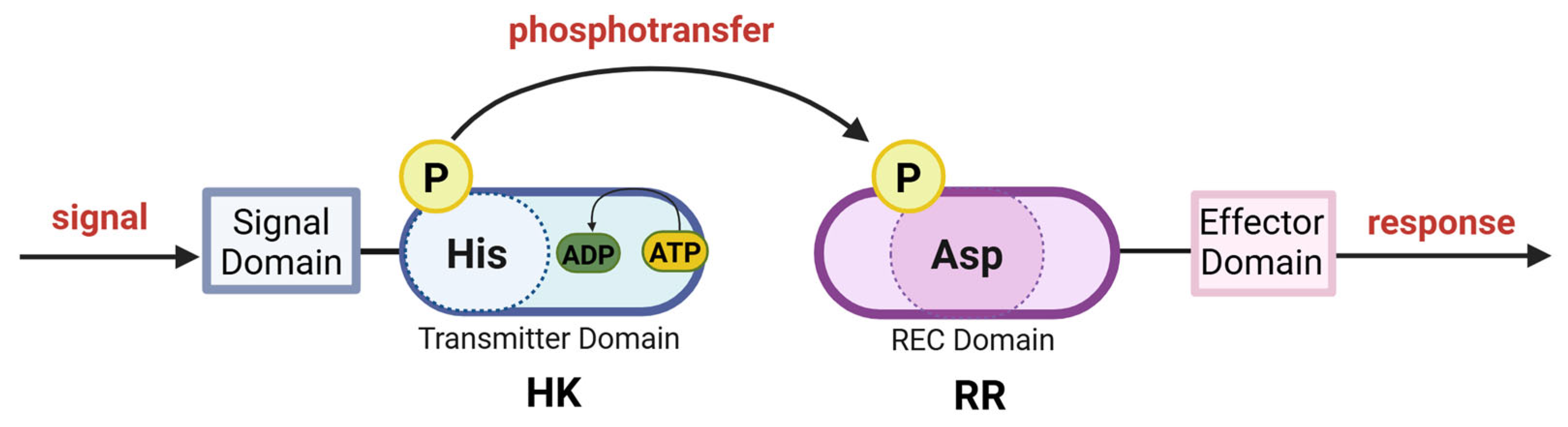 Microorganisms 13 02013 g002