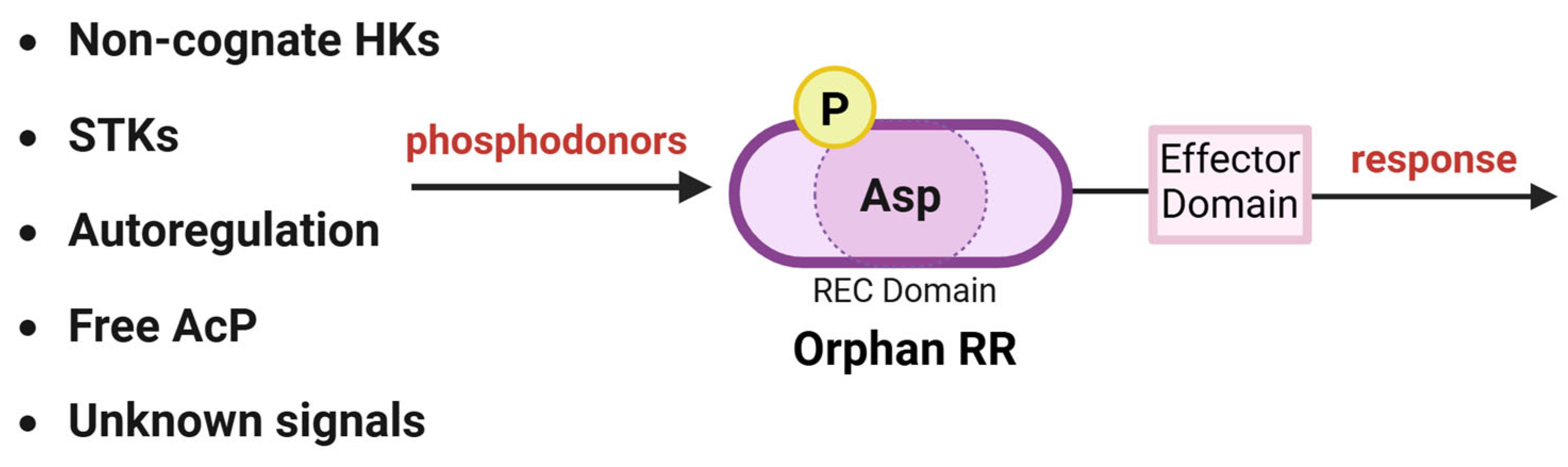 Microorganisms 13 02013 g003