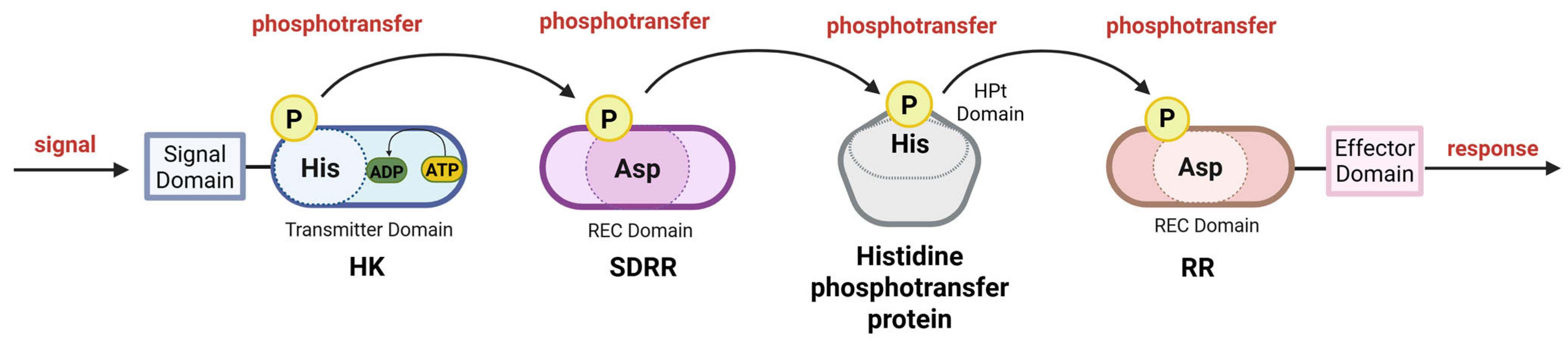 Microorganisms 13 02013 g006