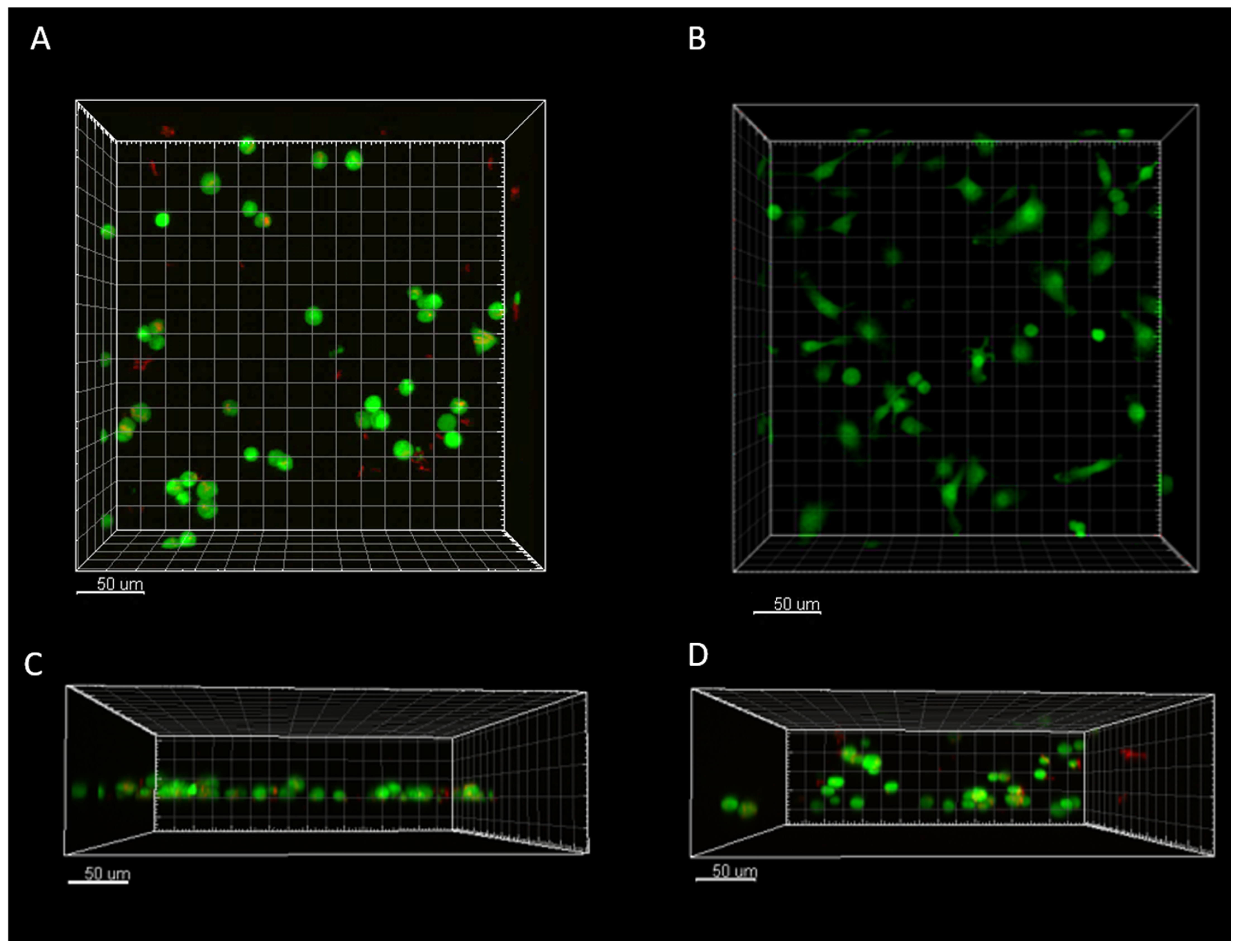 Microorganisms 13 02026 g004 Microorganisms 13 02026 g004