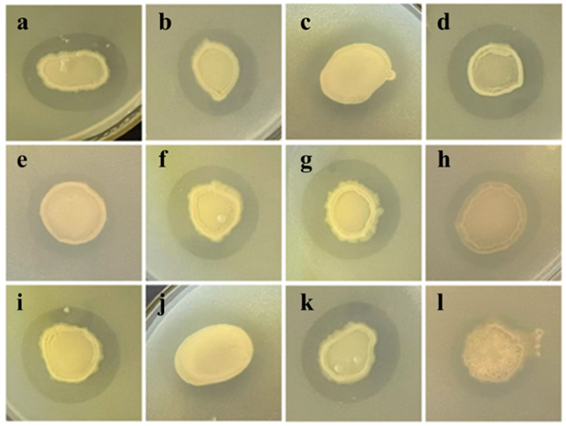 Microorganisms 13 02027 g001