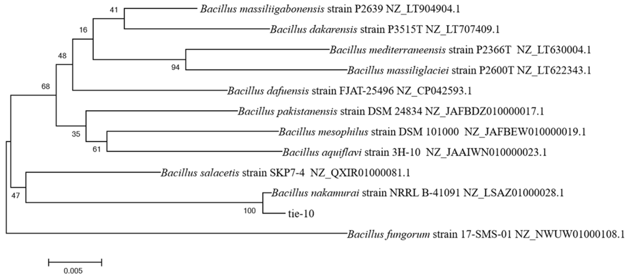Microorganisms 13 02027 g002