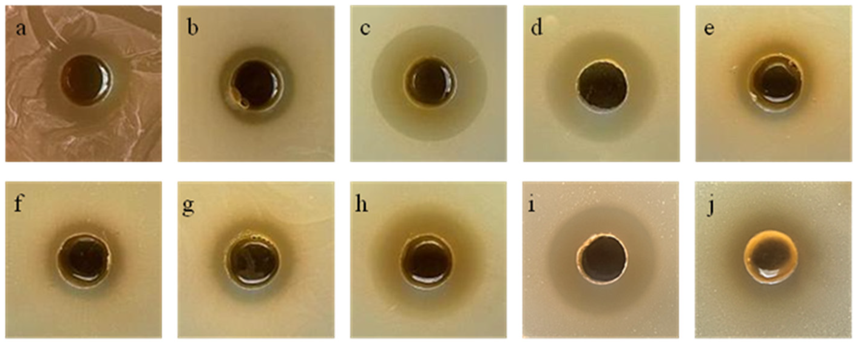 Microorganisms 13 02027 g003
