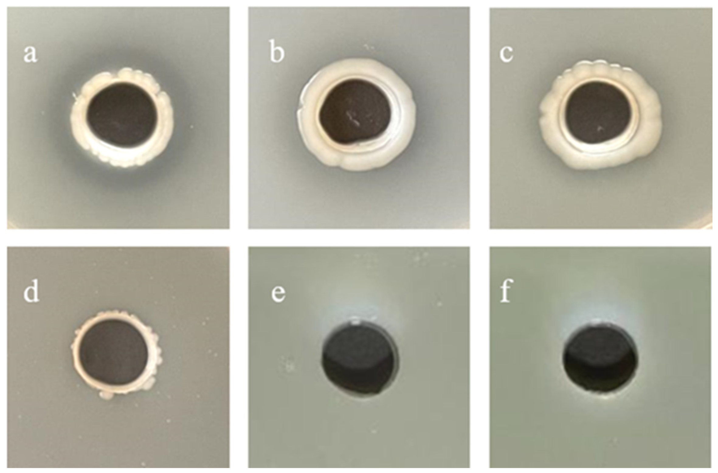 Microorganisms 13 02027 g011