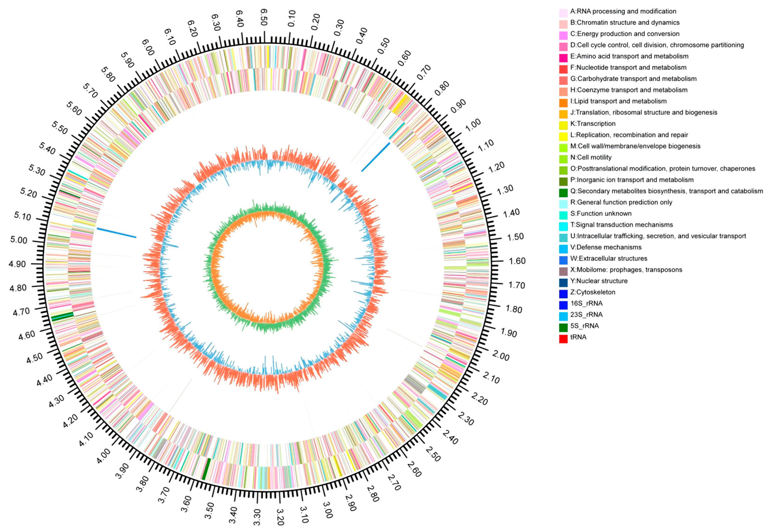Microorganisms 13 02033 g003