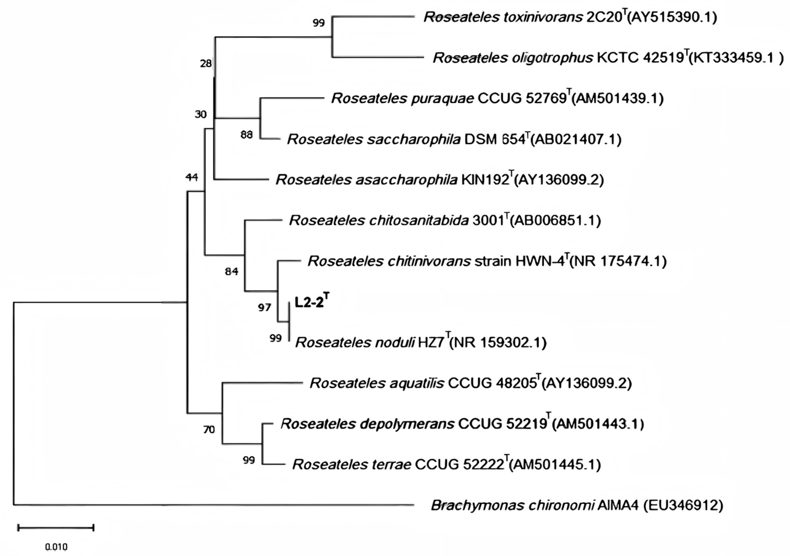 Microorganisms 13 02033 g004
