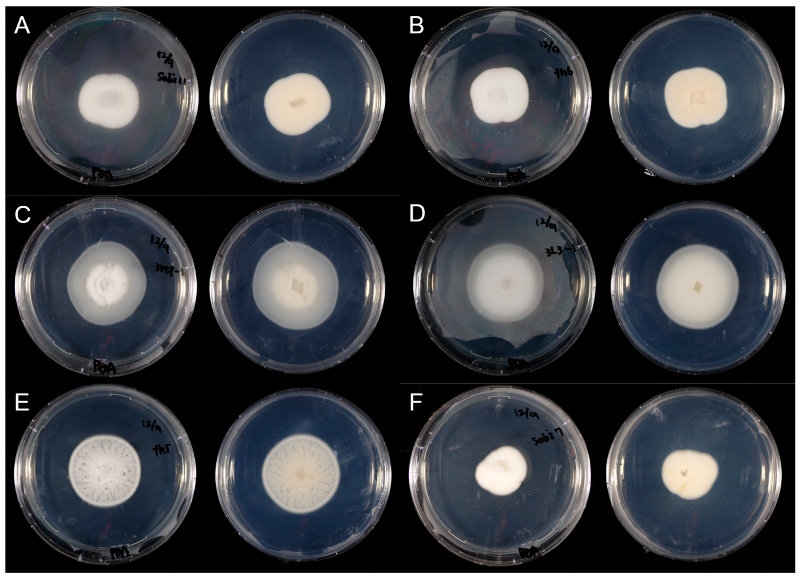 Microorganisms 13 02035 g004