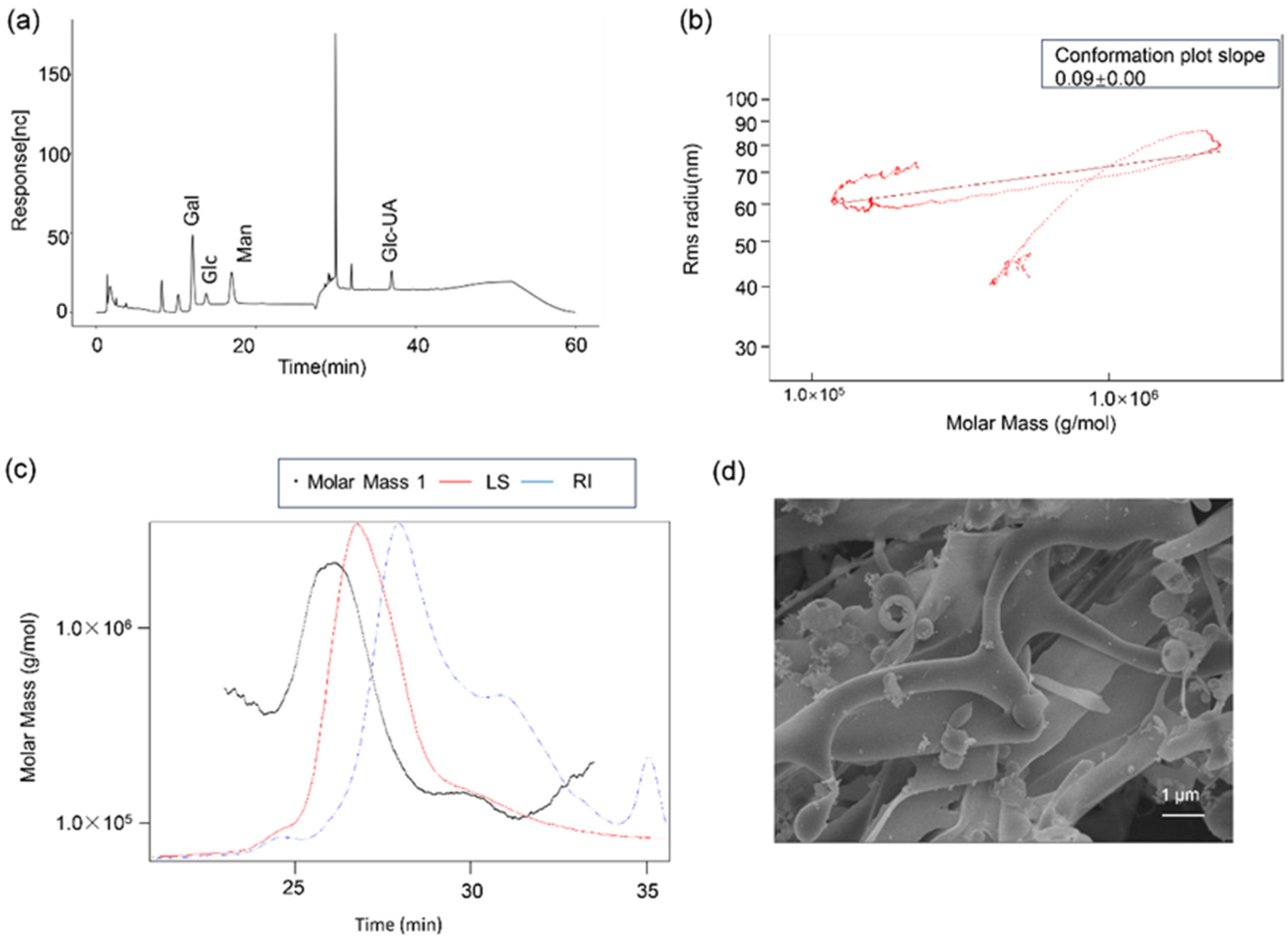 Microorganisms 13 02037 g002