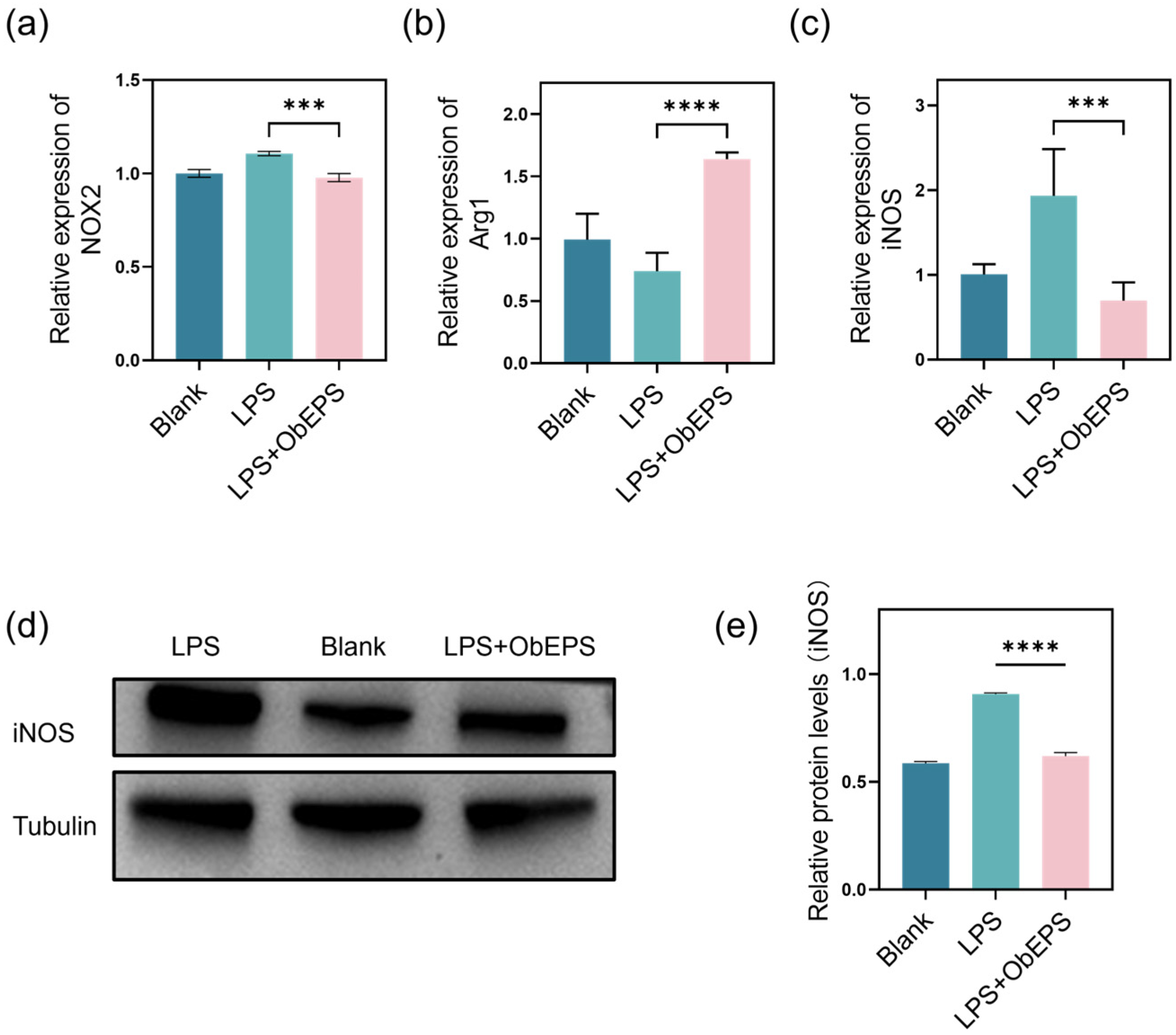 Microorganisms 13 02037 g004