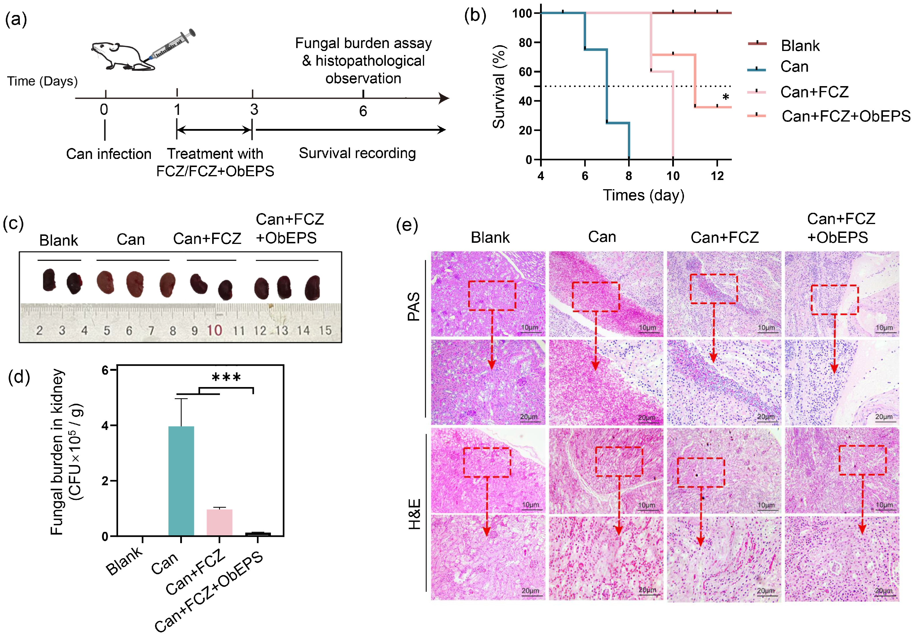 Microorganisms 13 02037 g005