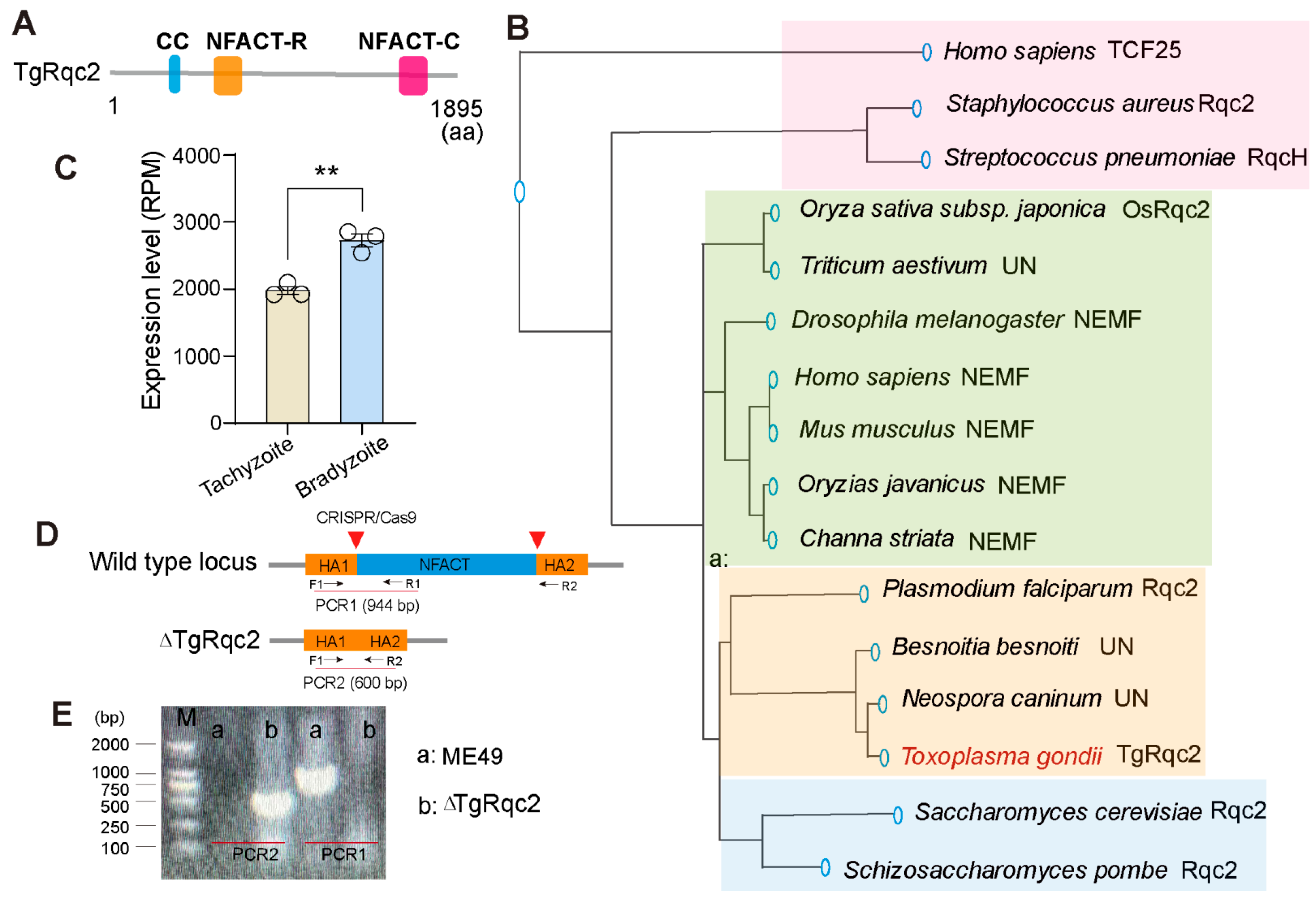 Microorganisms 13 02041 g001