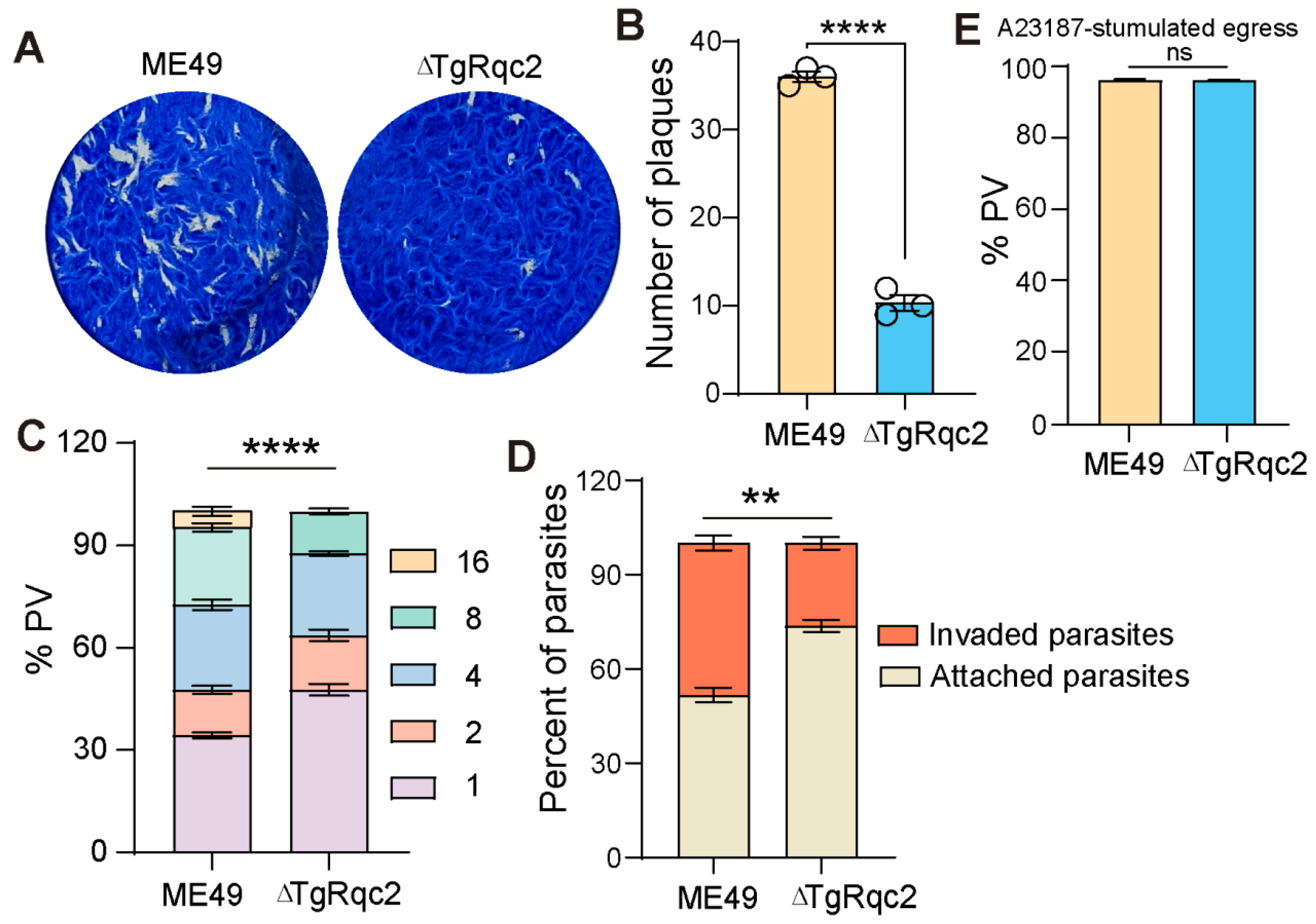 Microorganisms 13 02041 g002
