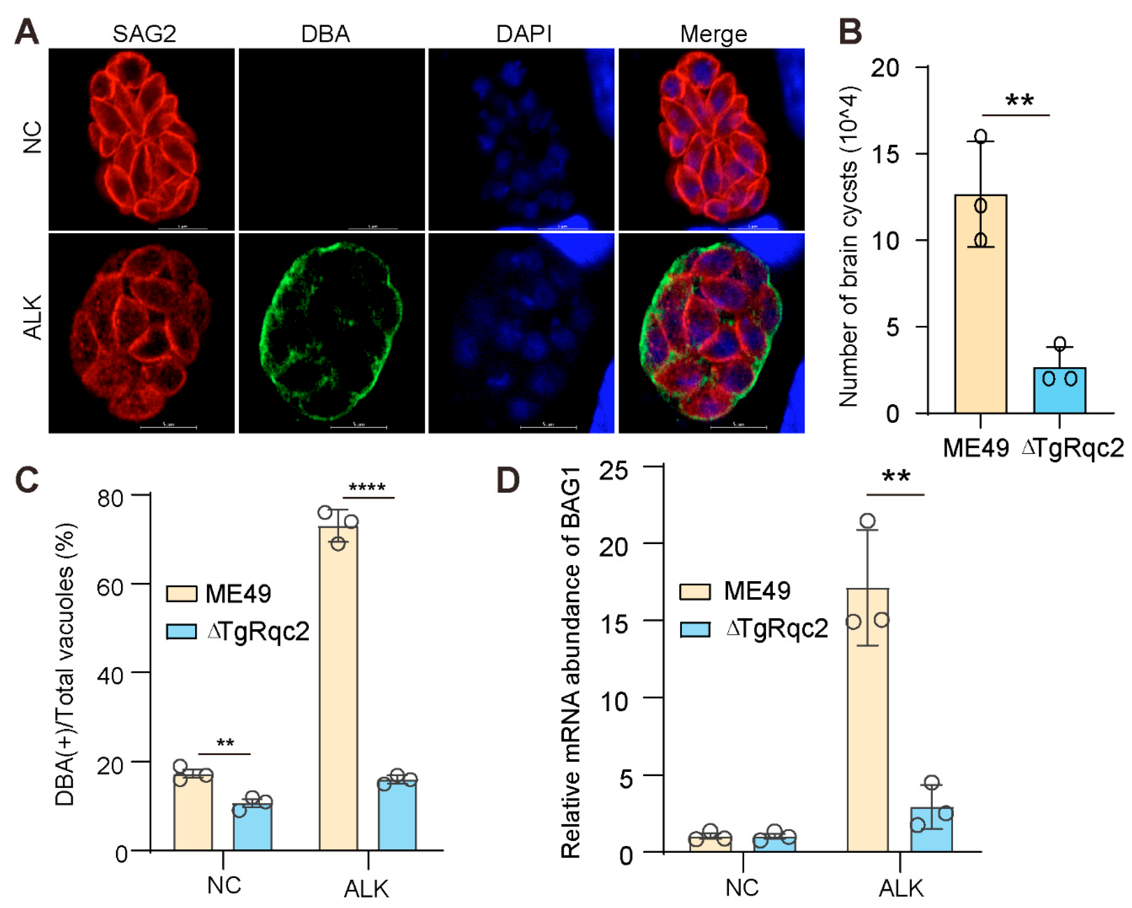 Microorganisms 13 02041 g003
