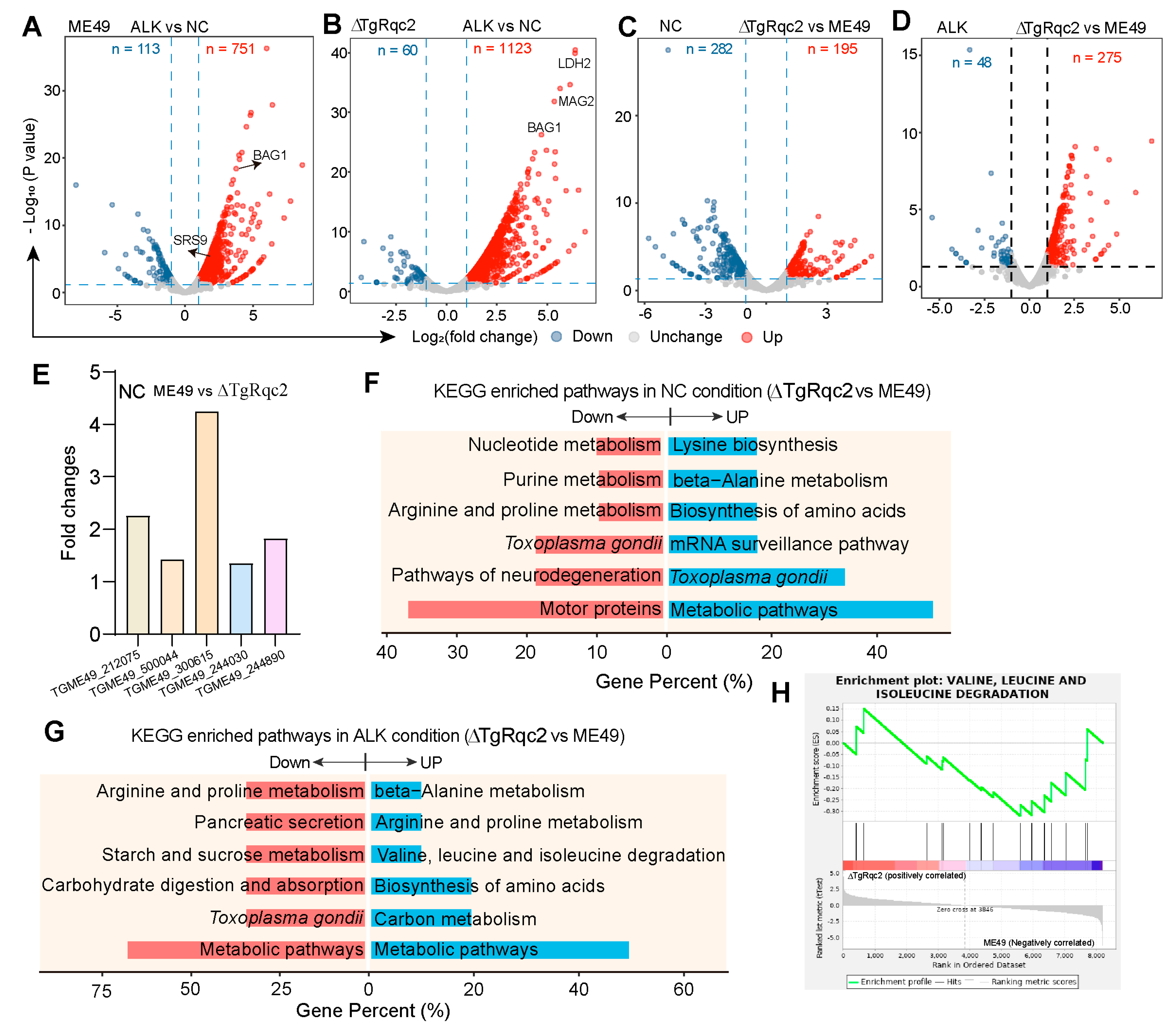 Microorganisms 13 02041 g004