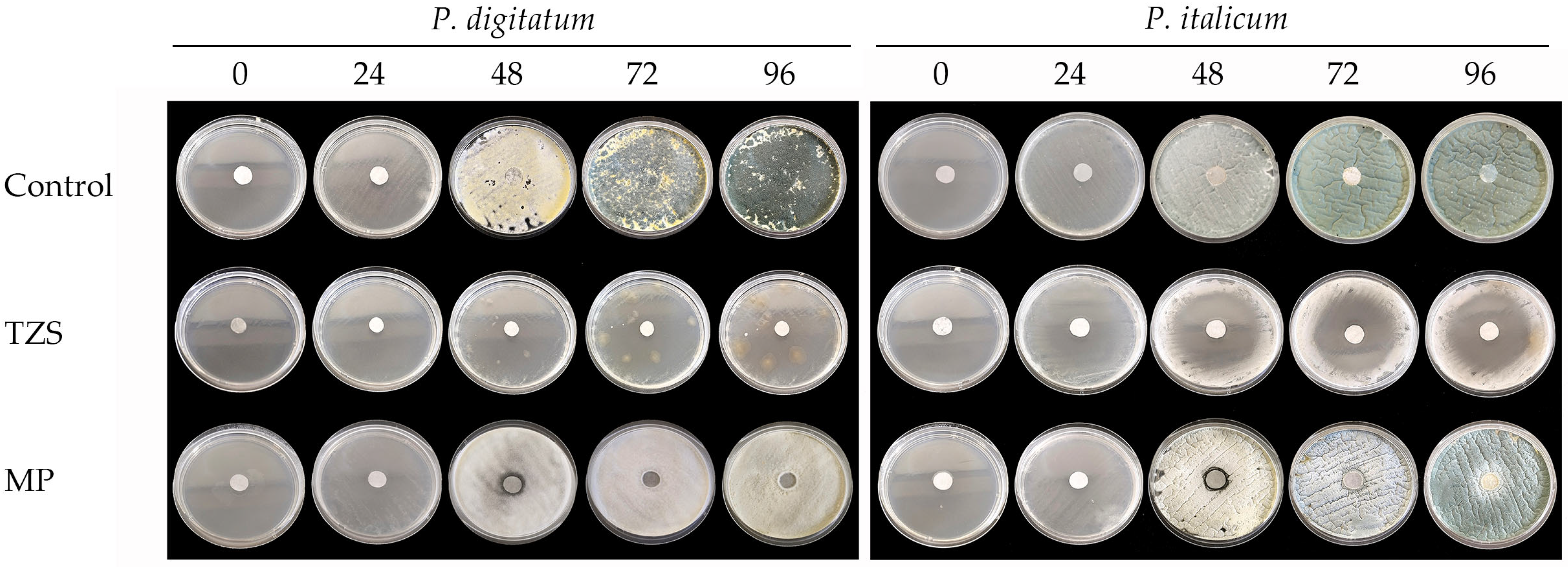 Microorganisms 13 02042 g002