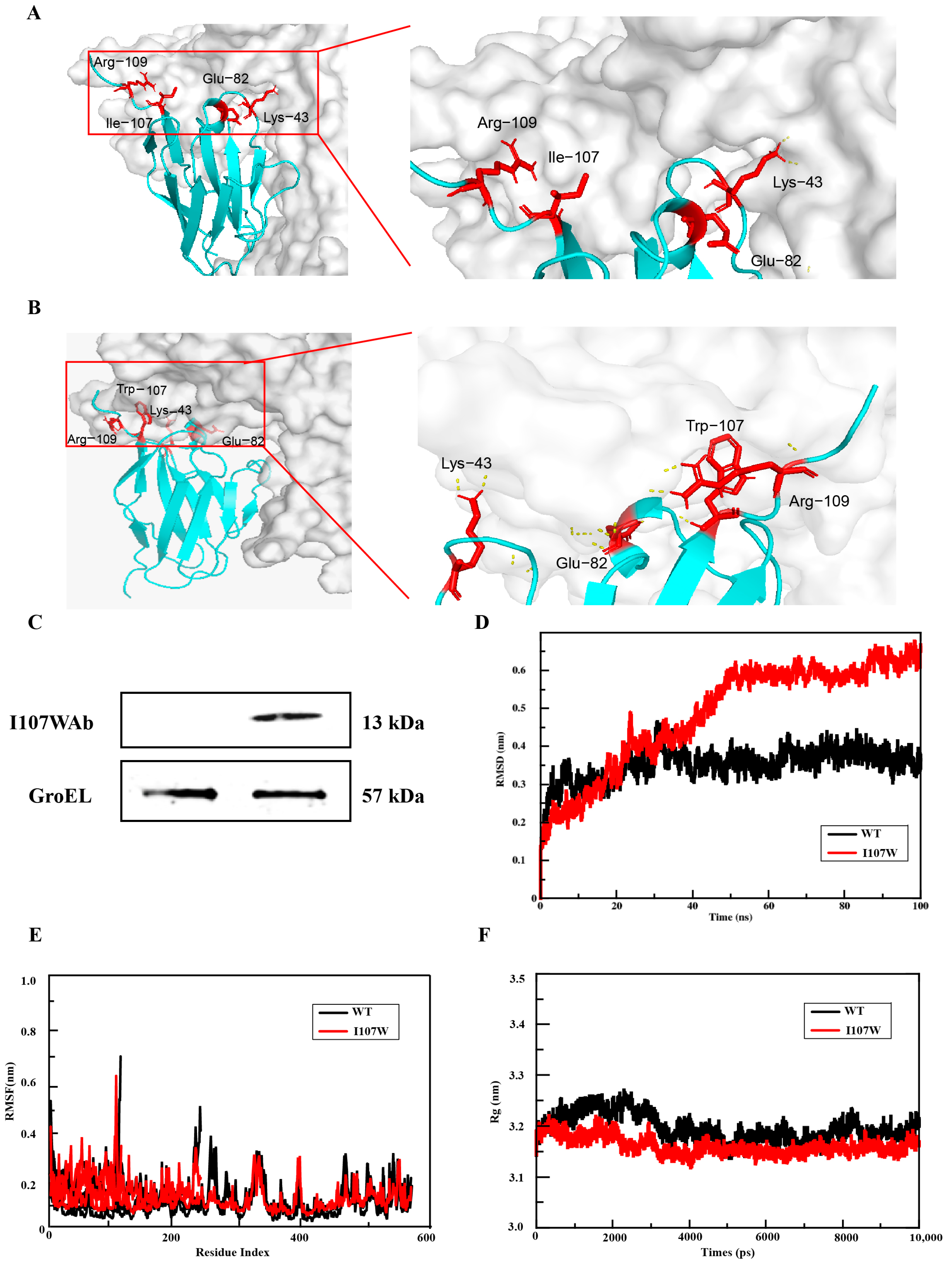 Microorganisms 13 02043 g003