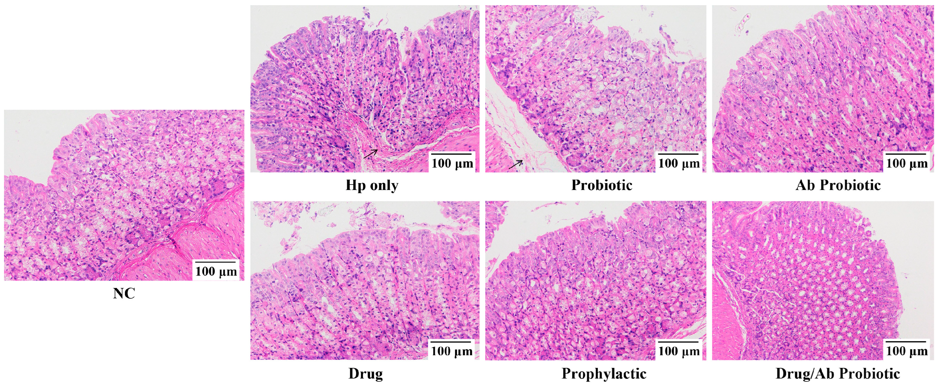 Microorganisms 13 02043 g006