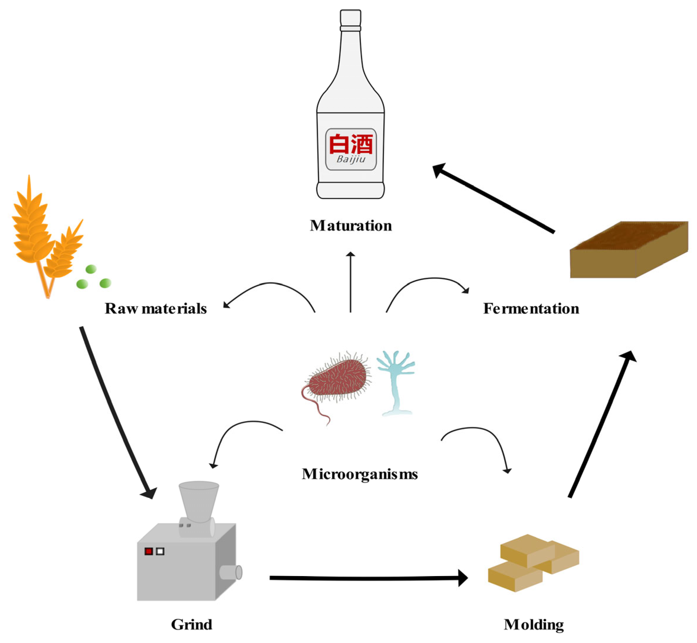 Microorganisms 13 02044 g001 Microorganisms 13 02044 g001