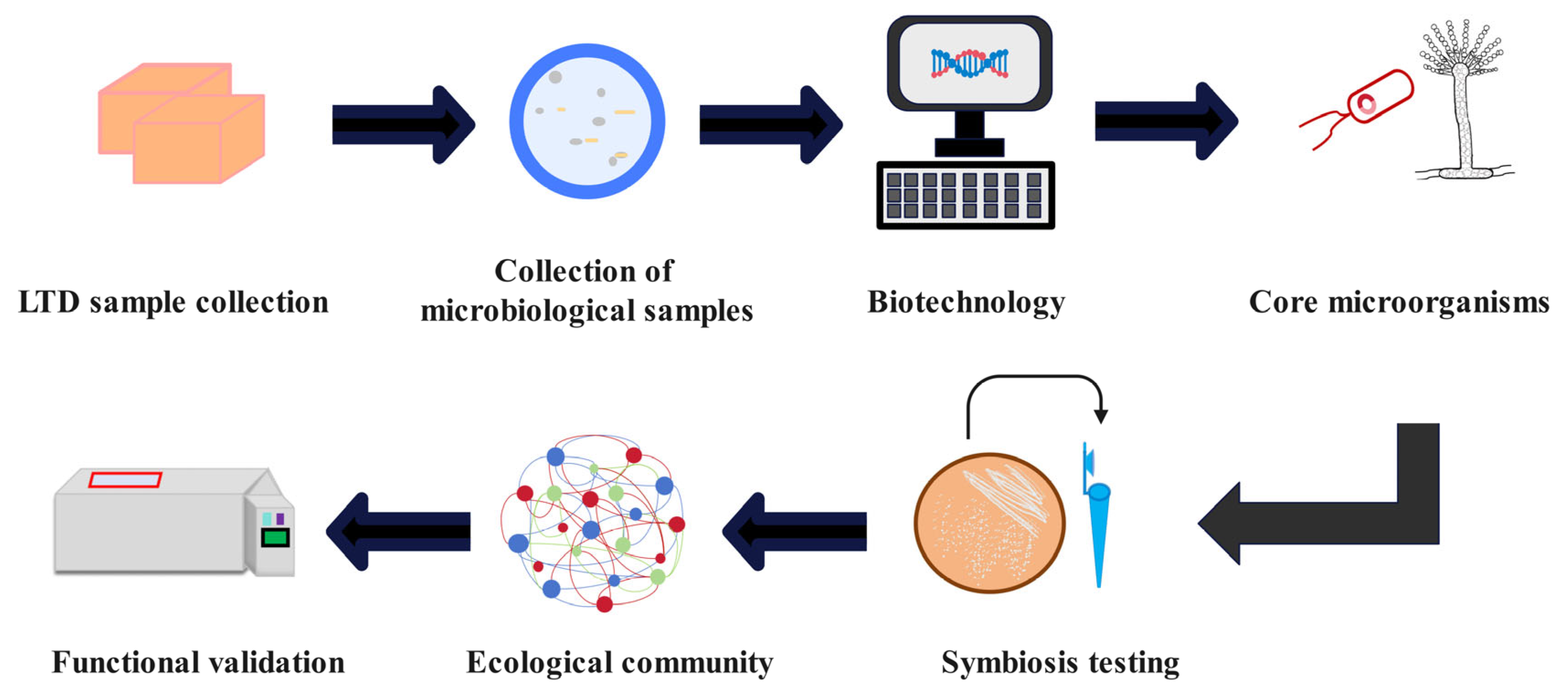 Microorganisms 13 02044 g002 Microorganisms 13 02044 g002