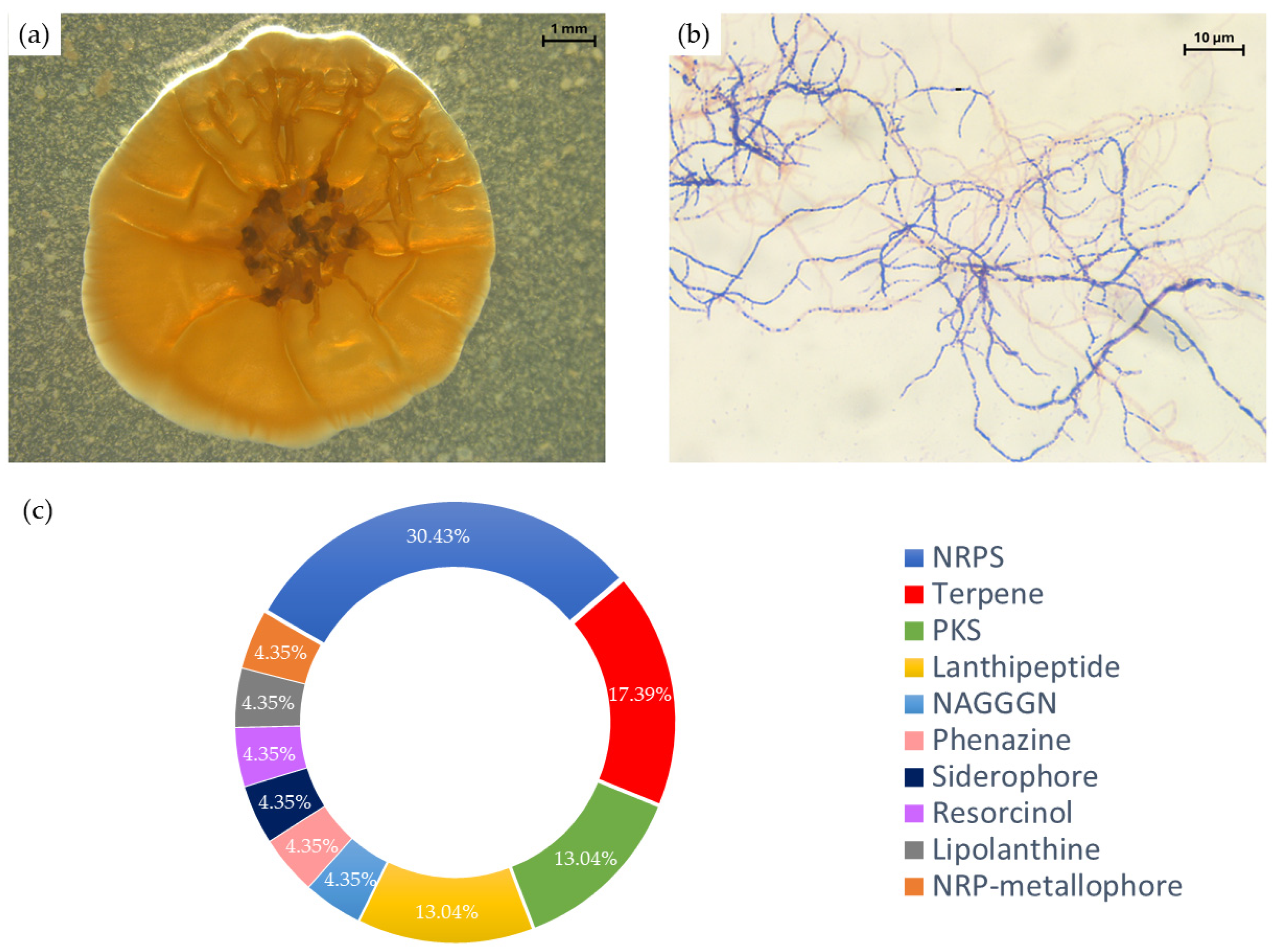 Microorganisms 13 02045 g001