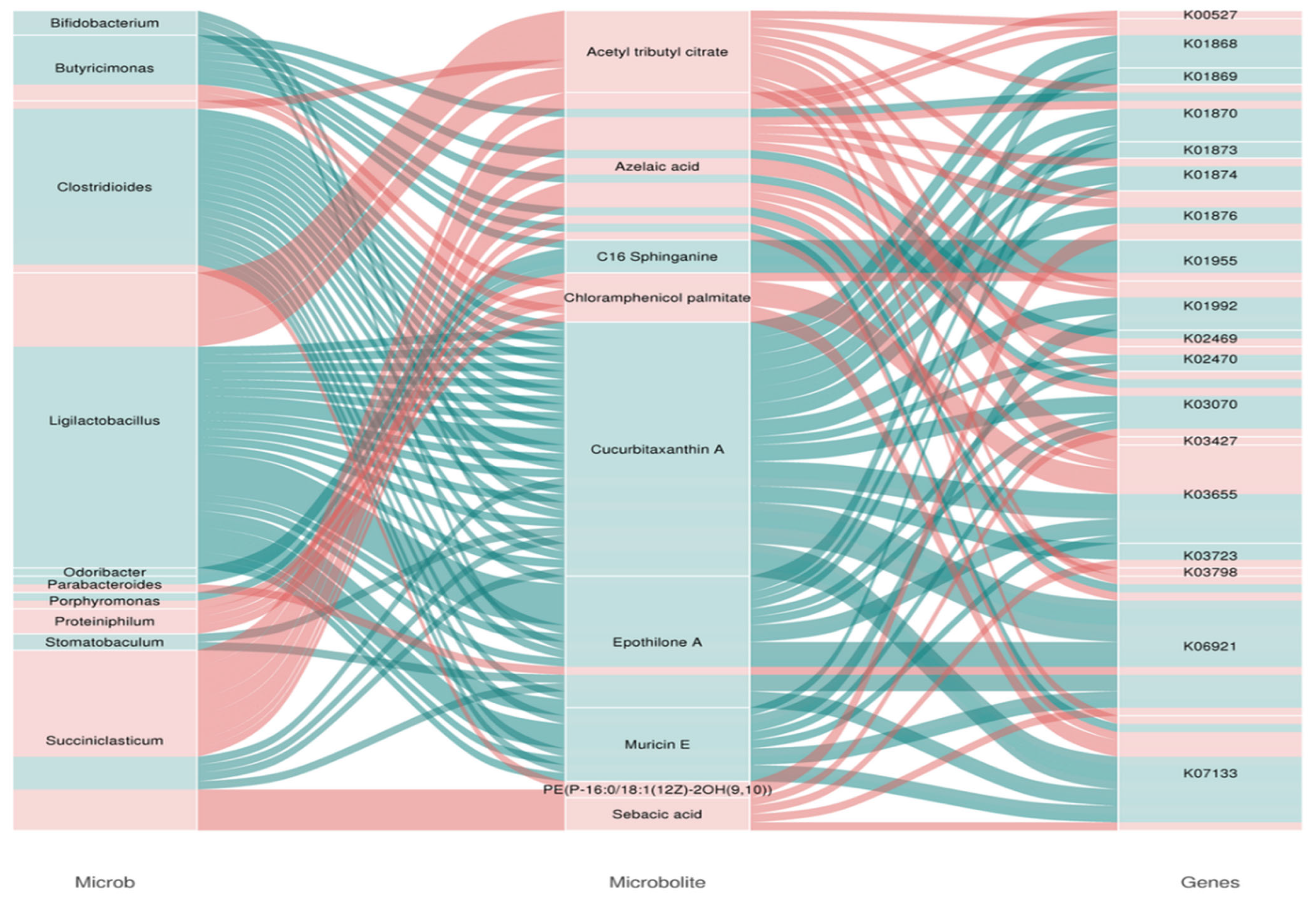 Microorganisms 13 02049 g009