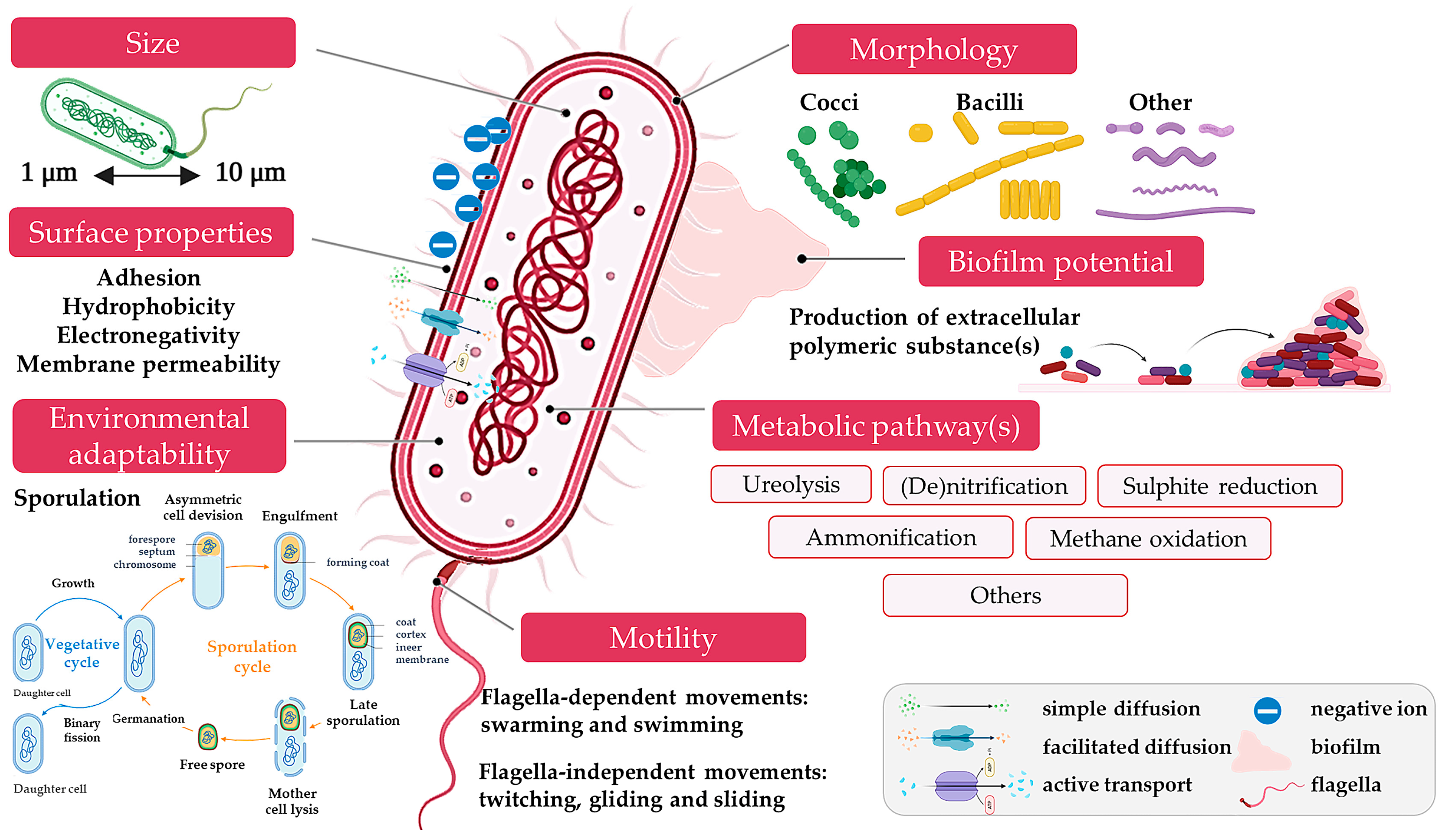 Microorganisms 13 02051 g003