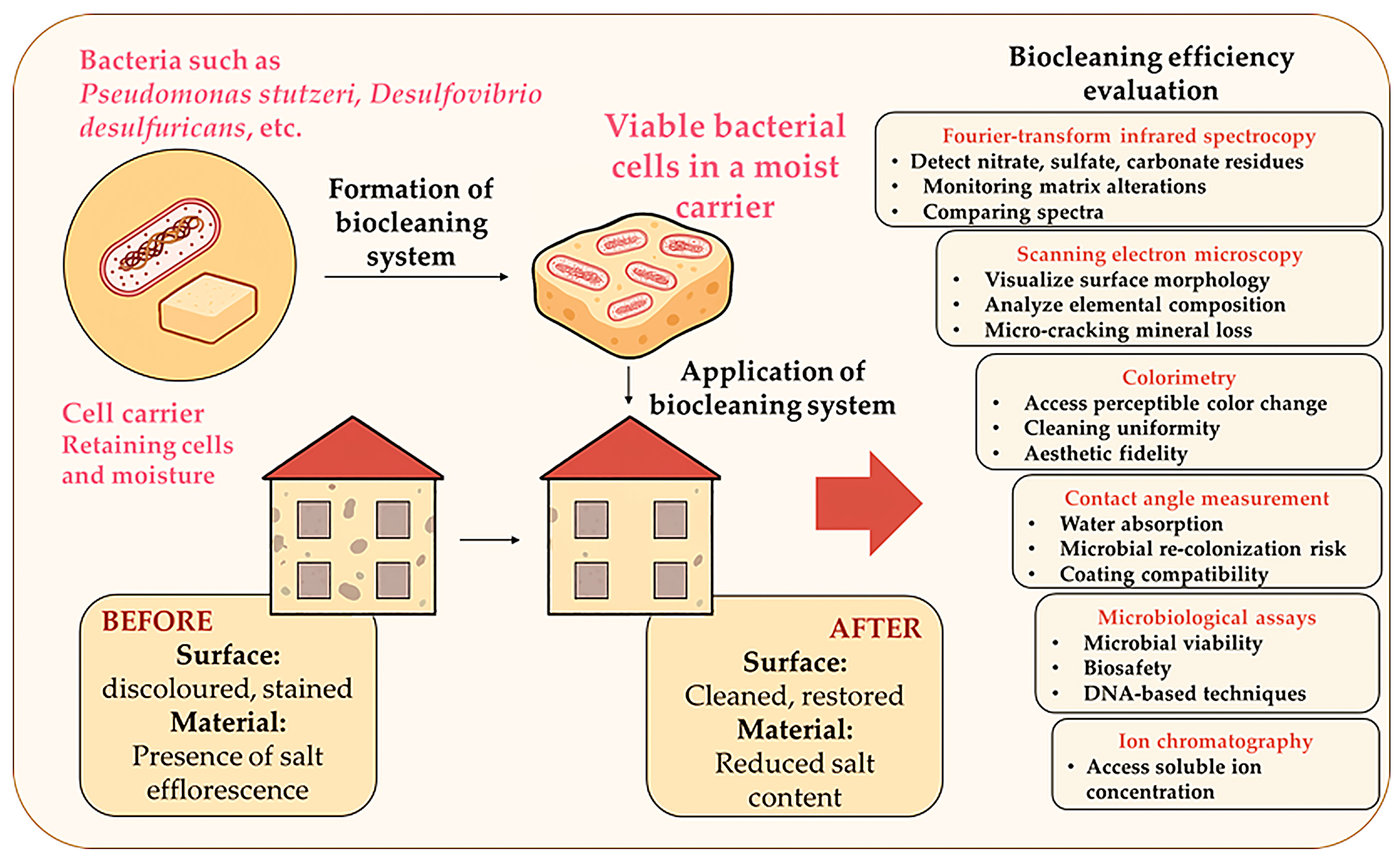 Microorganisms 13 02051 g005