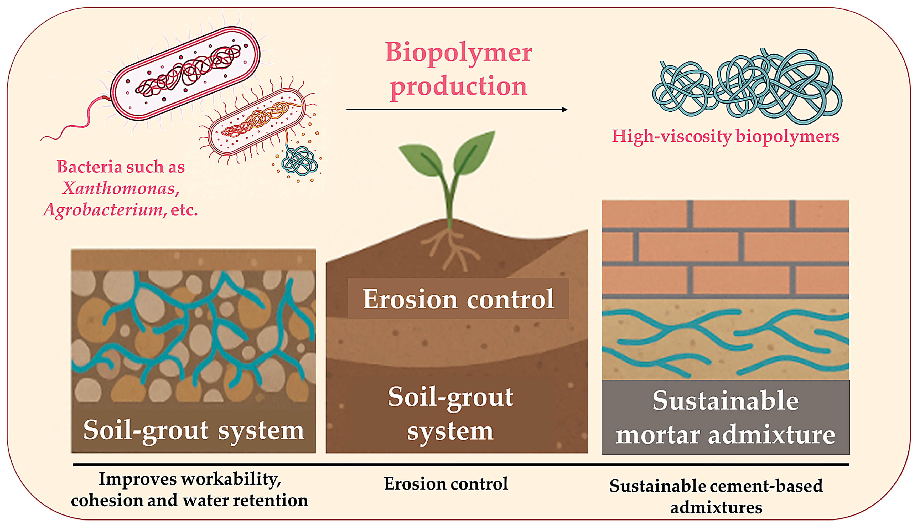 Microorganisms 13 02051 g007