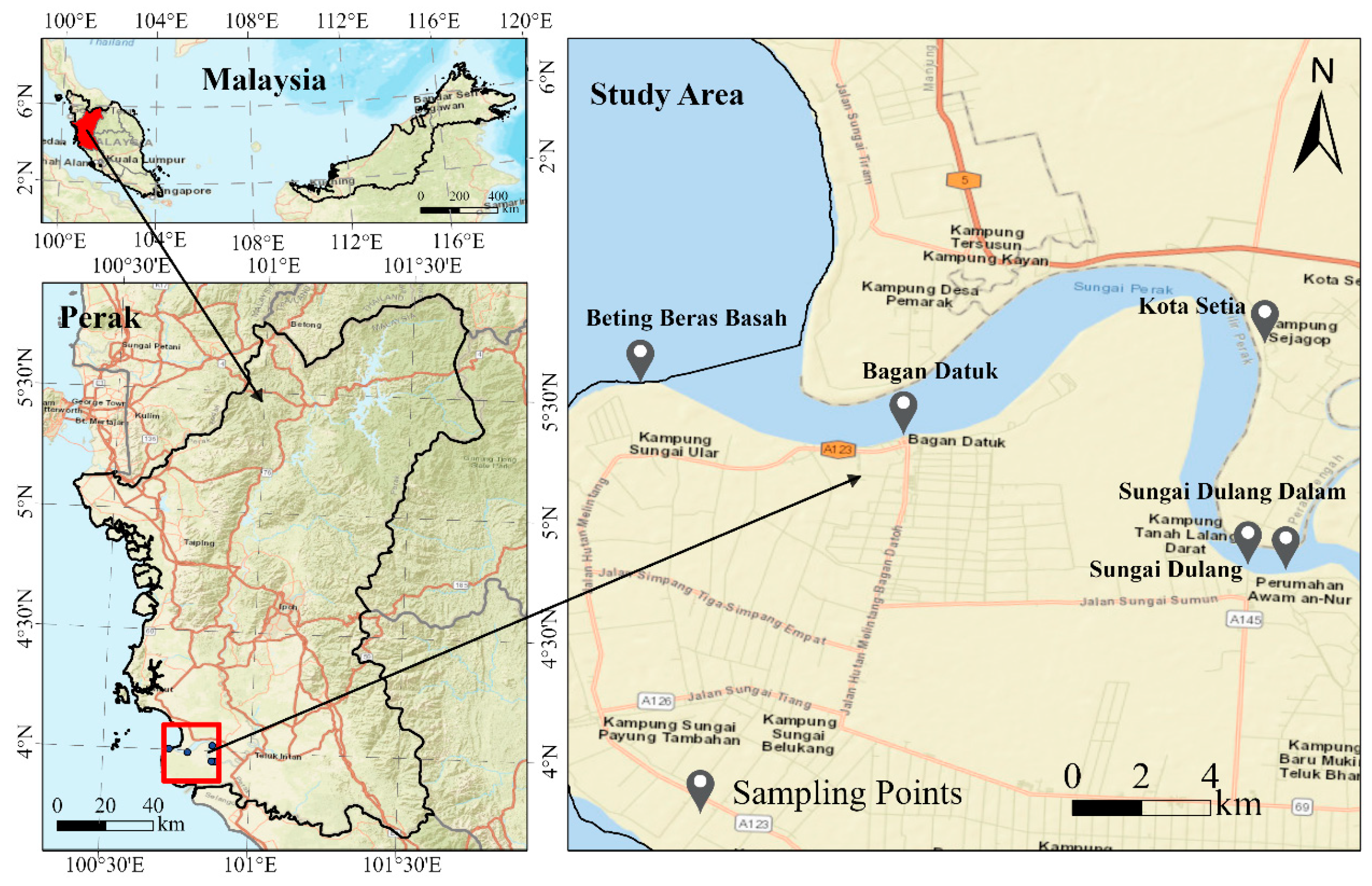 Microorganisms 13 02055 g001