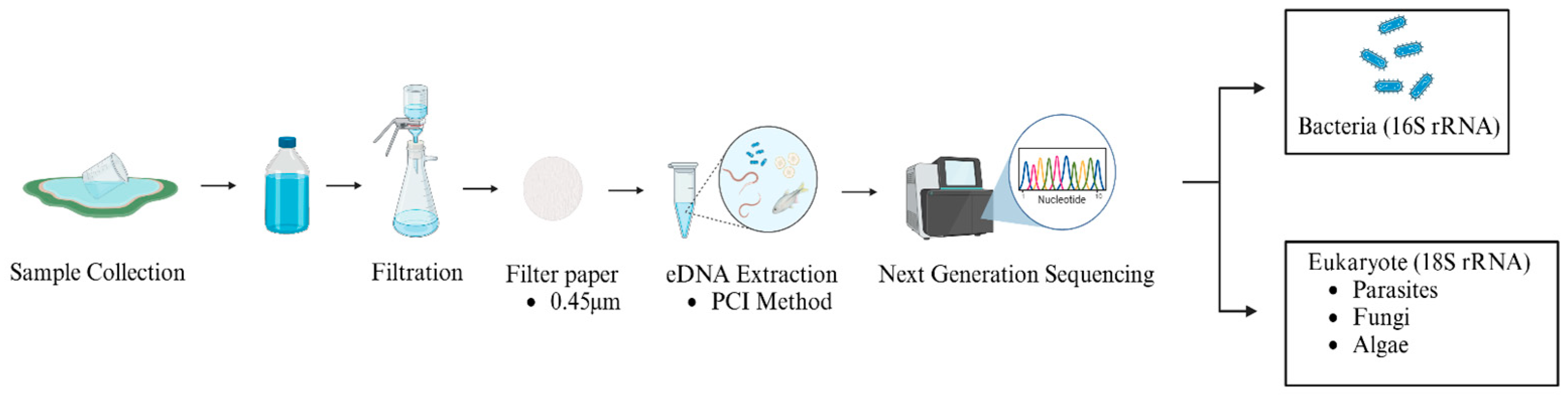 Microorganisms 13 02055 g002