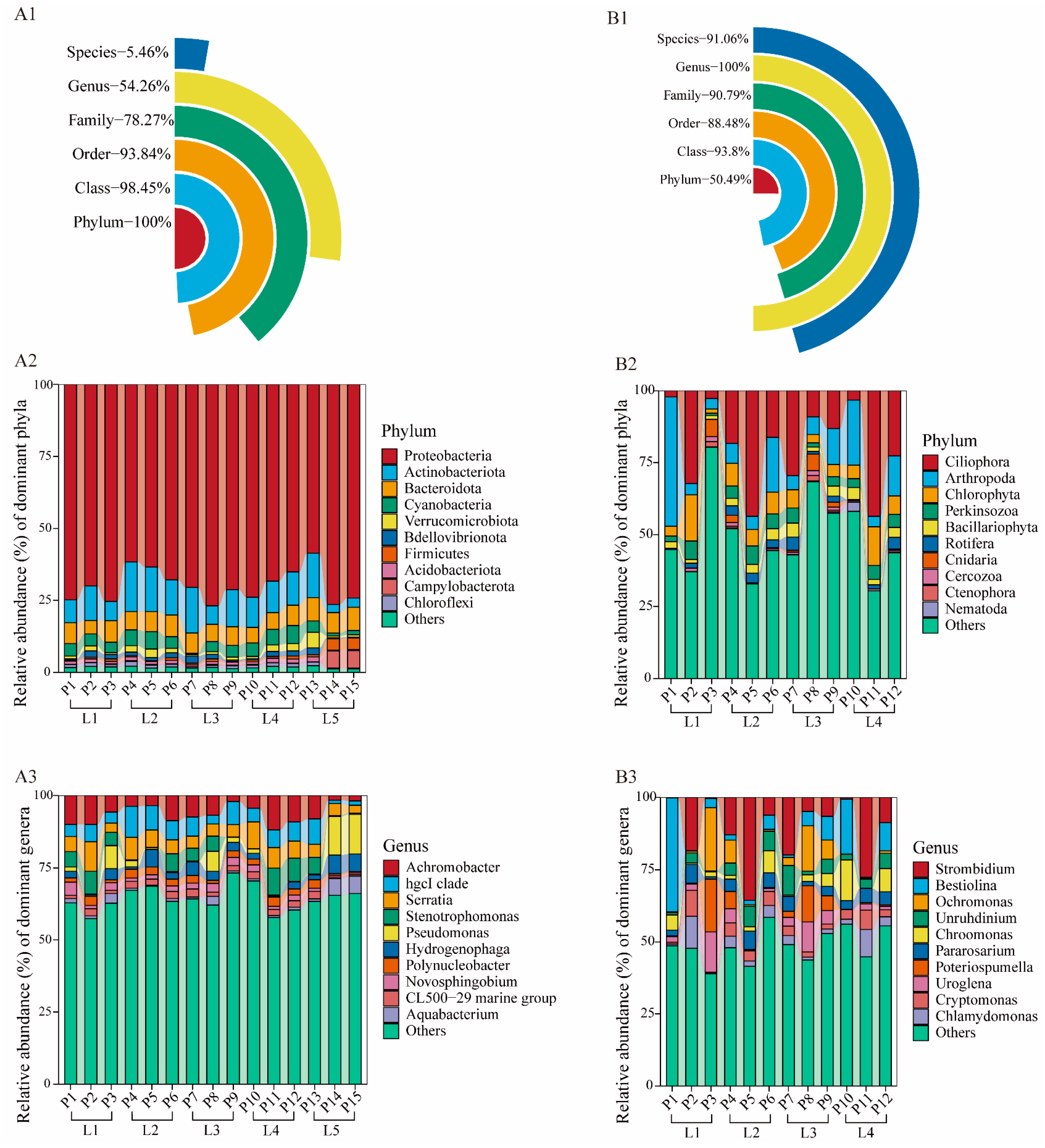 Microorganisms 13 02055 g004