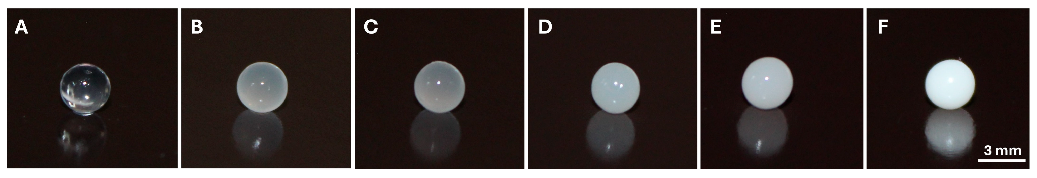 Microorganisms 13 02065 g001