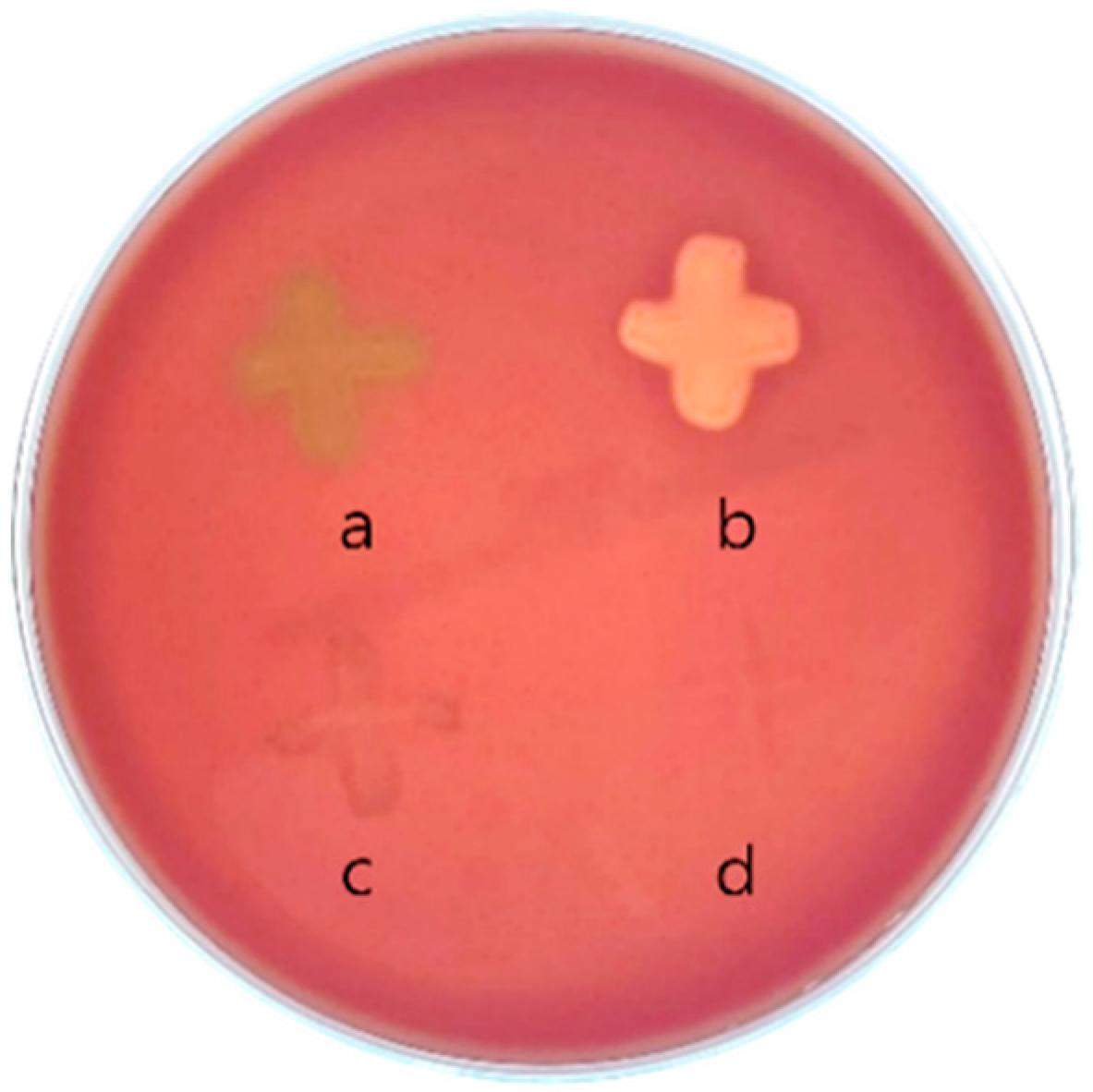 Microorganisms 13 02067 g001