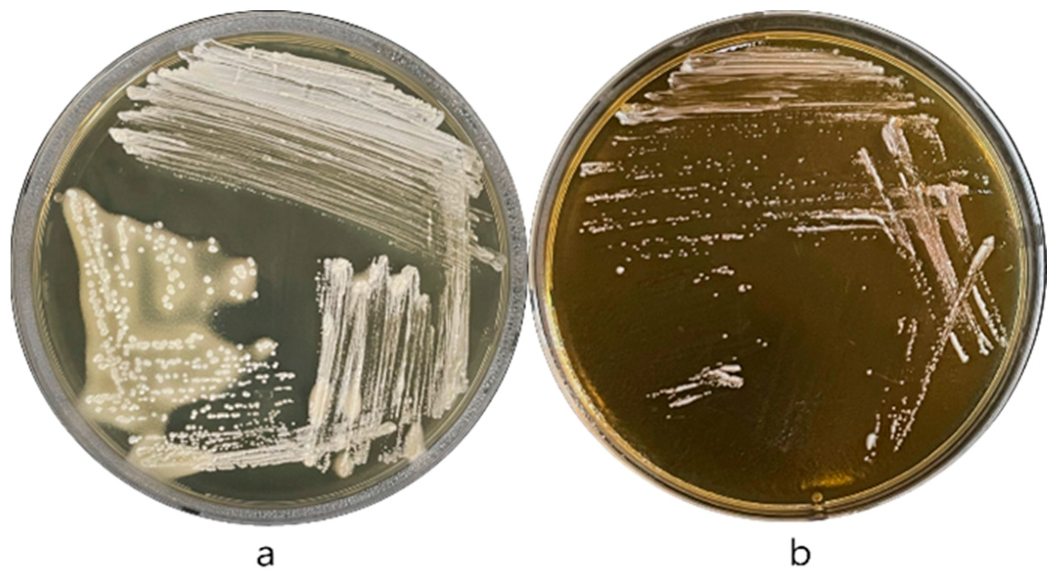 Microorganisms 13 02067 g002