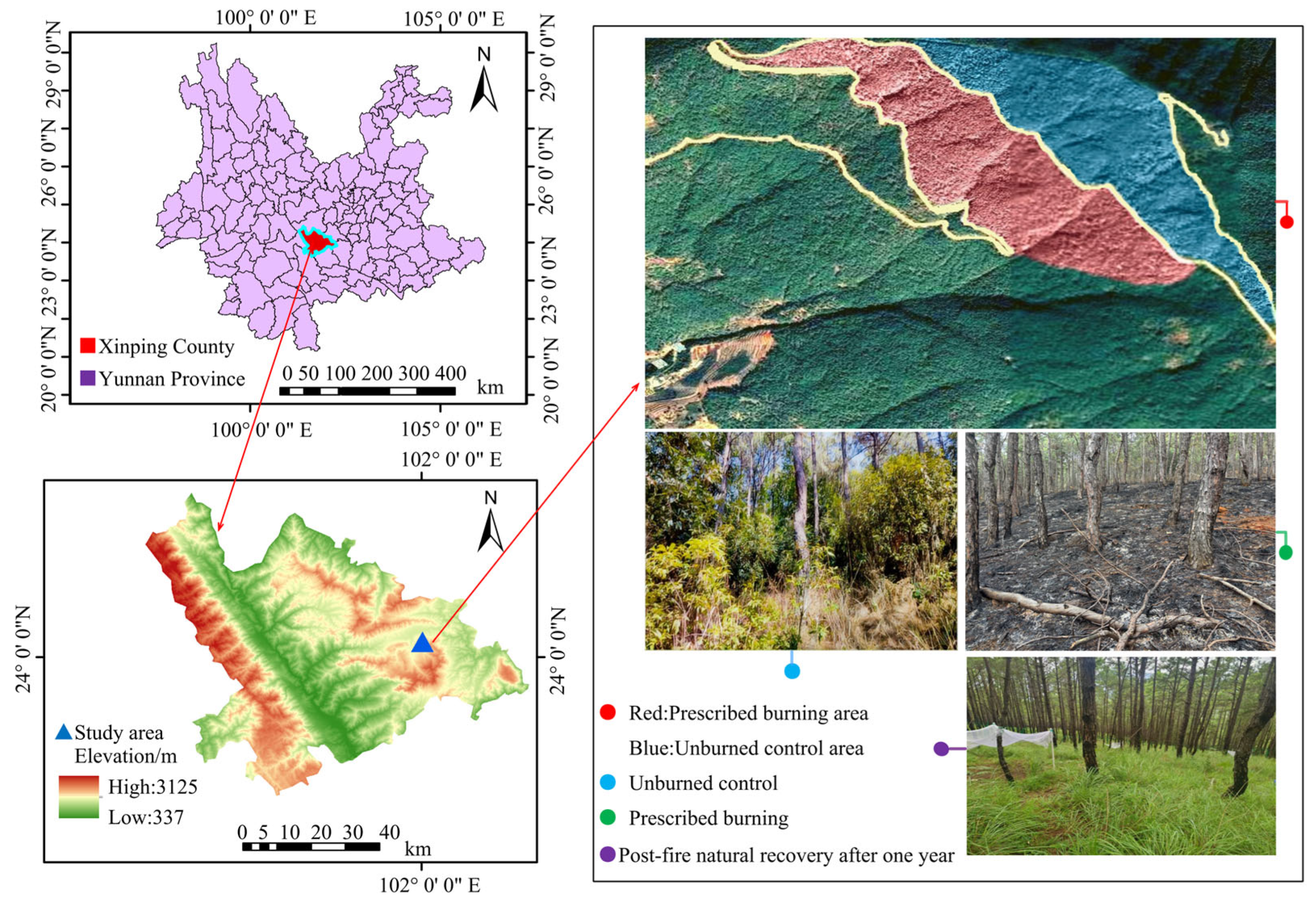 Microorganisms 13 02070 g001
