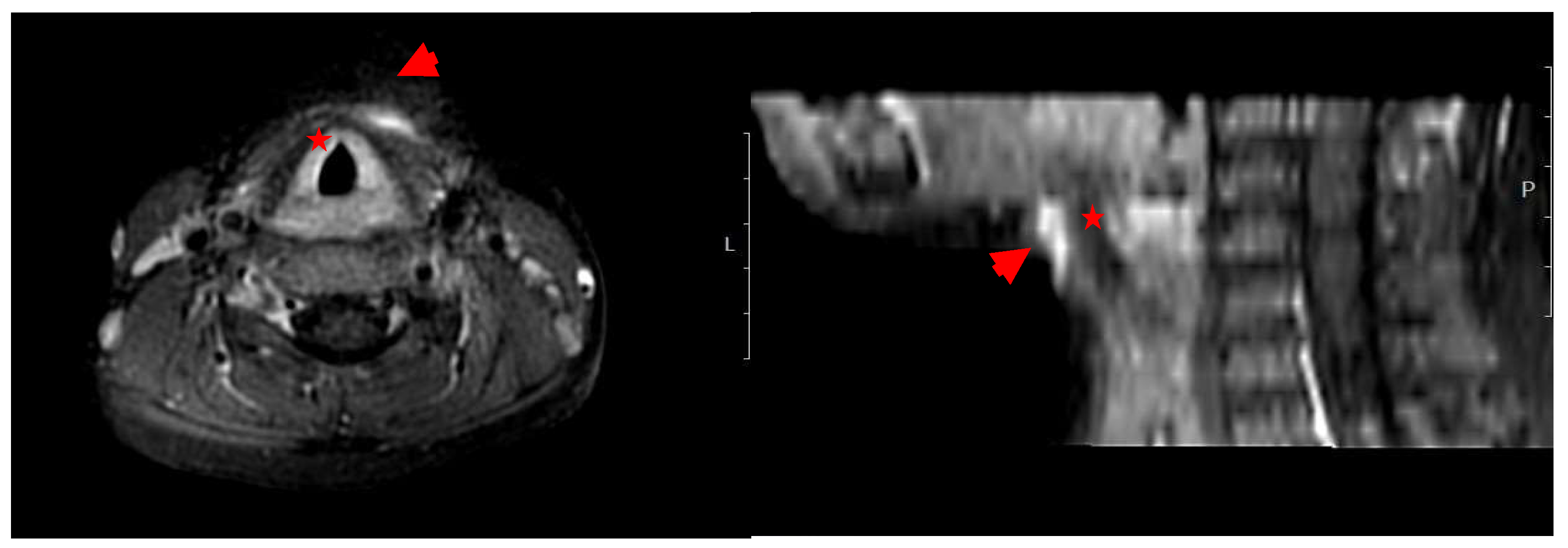 Microorganisms 13 02071 g001 Microorganisms 13 02071 g001
