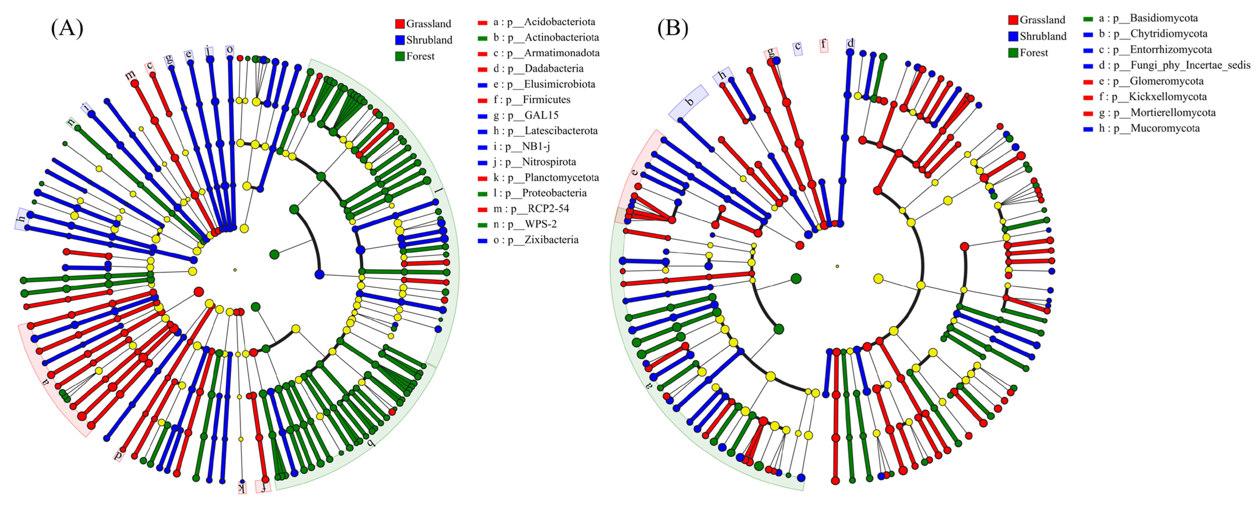 Microorganisms 13 02075 g004
