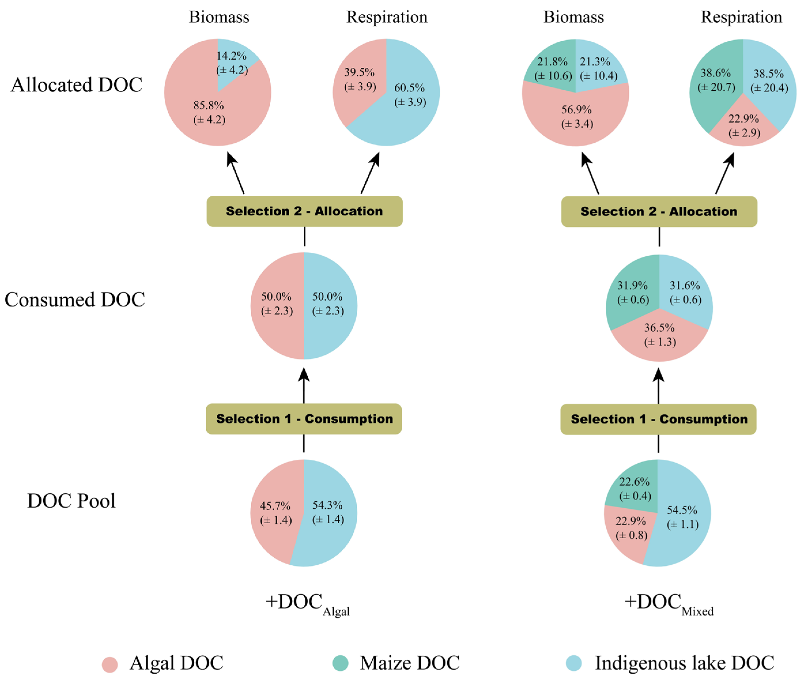 Microorganisms 13 02081 g005 Microorganisms 13 02081 g005