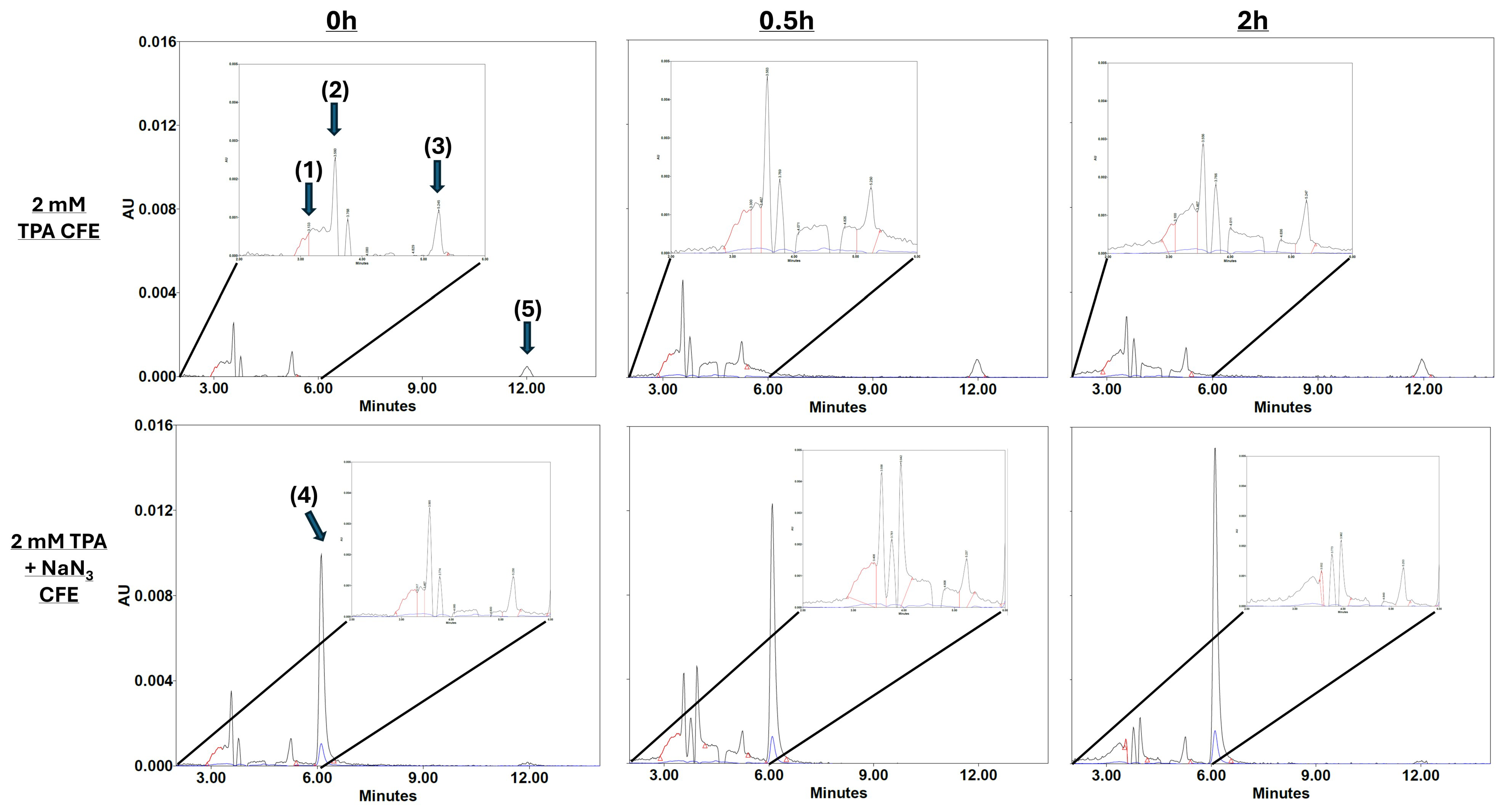 Microorganisms 13 02082 g003