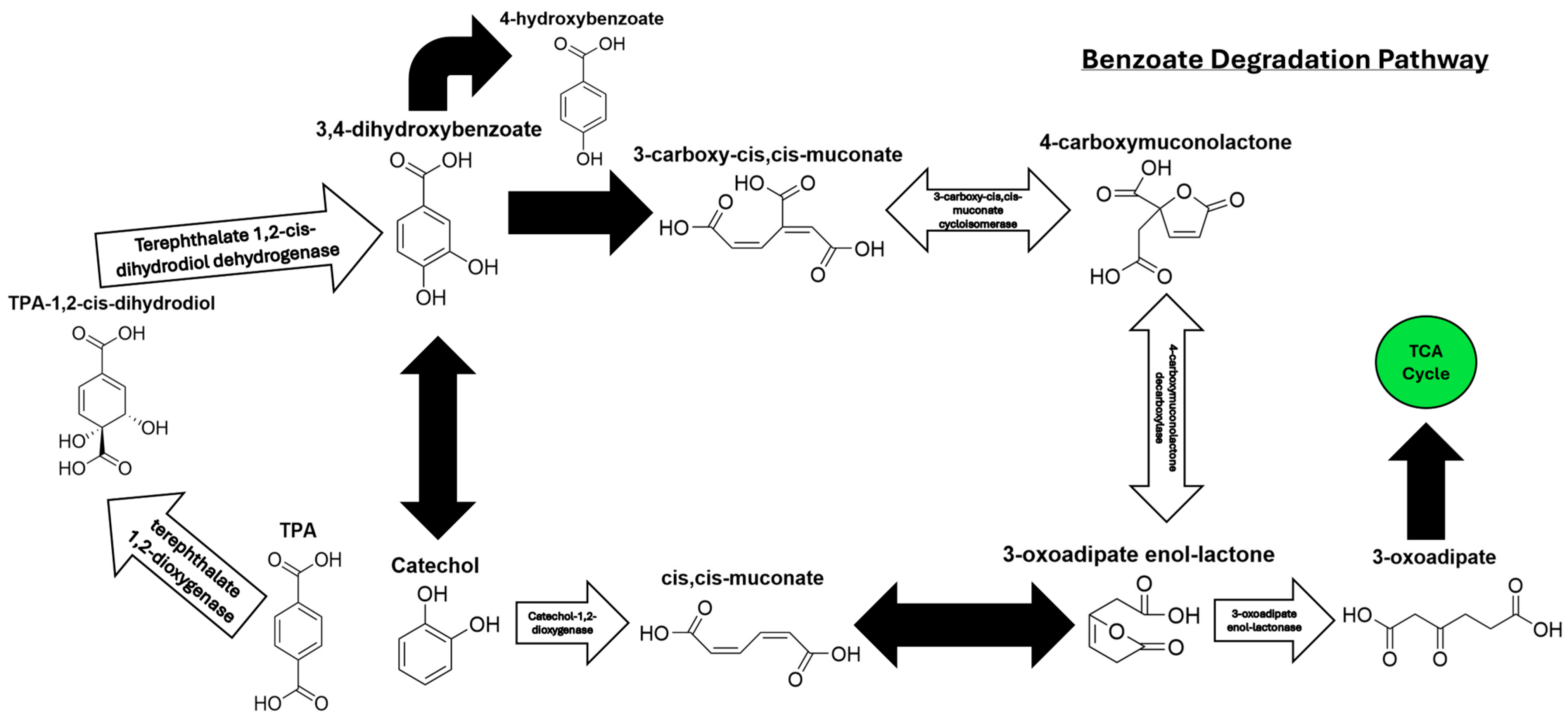 Microorganisms 13 02082 g006