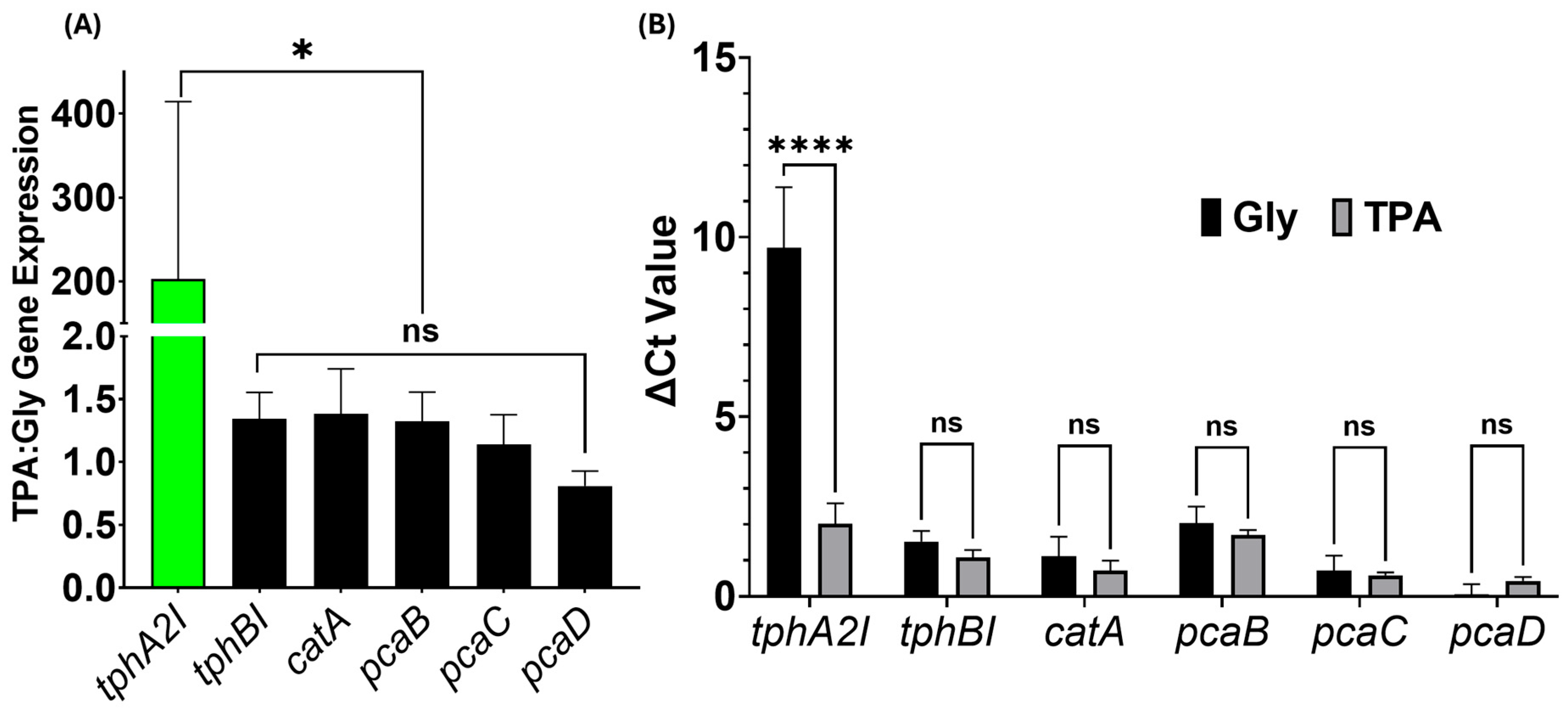 Microorganisms 13 02082 g007