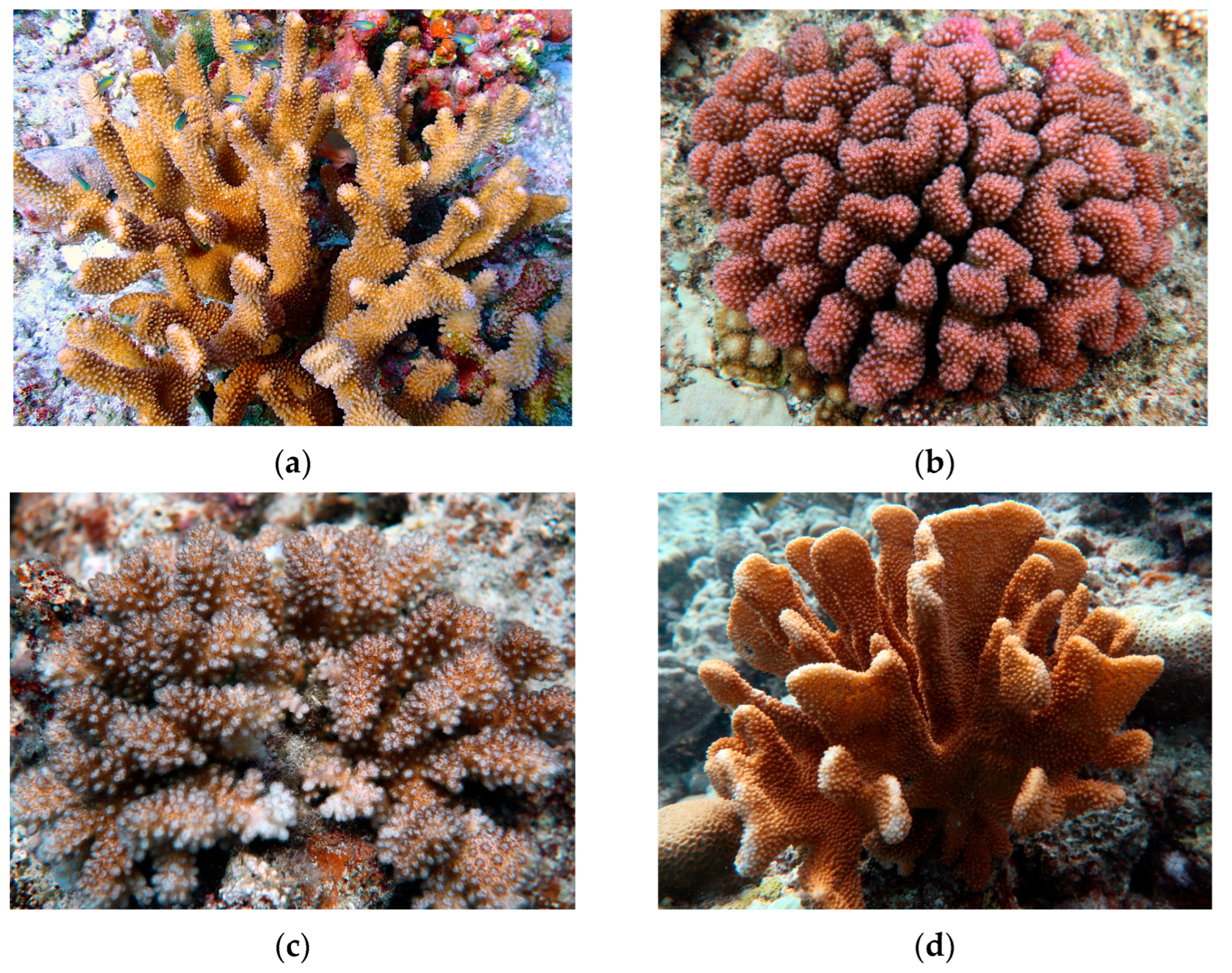 Microorganisms 13 02083 g001