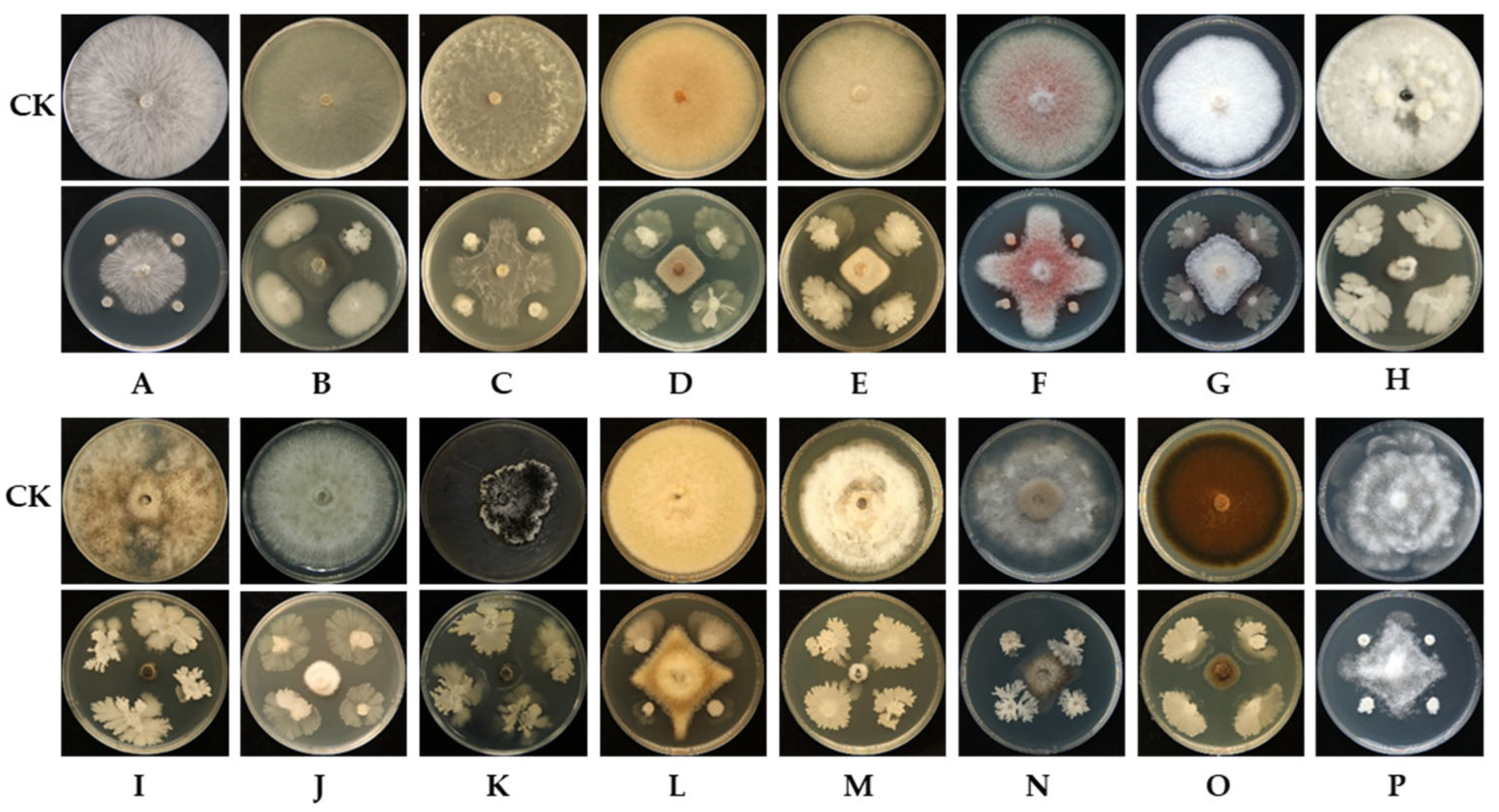 Microorganisms 13 02084 g002
