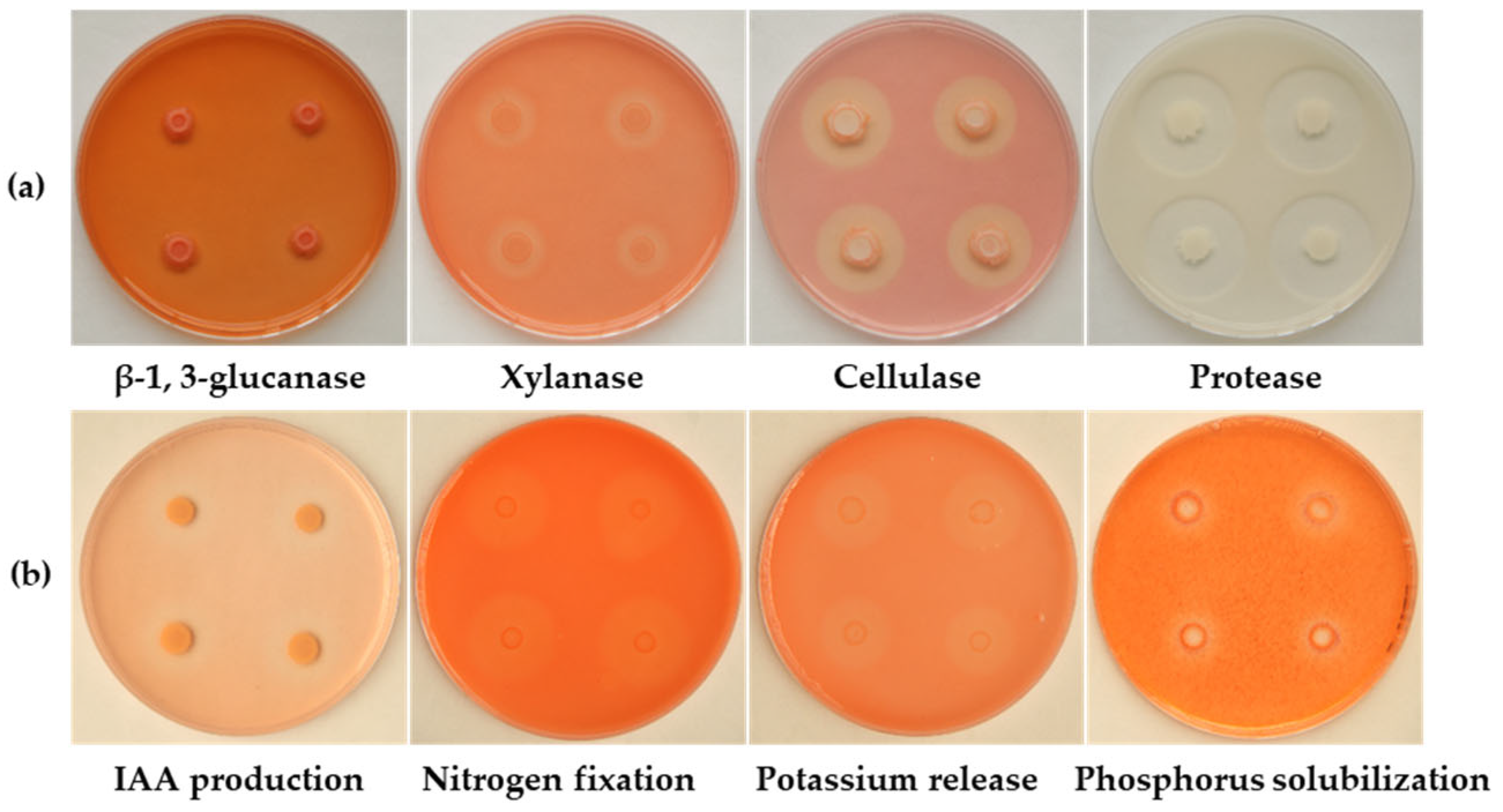 Microorganisms 13 02084 g003