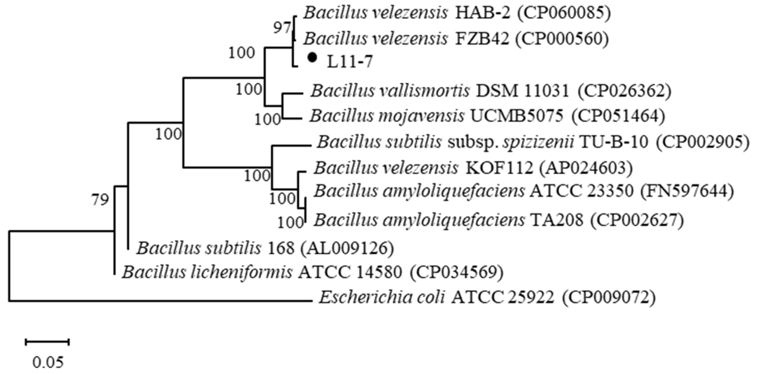 Microorganisms 13 02084 g005