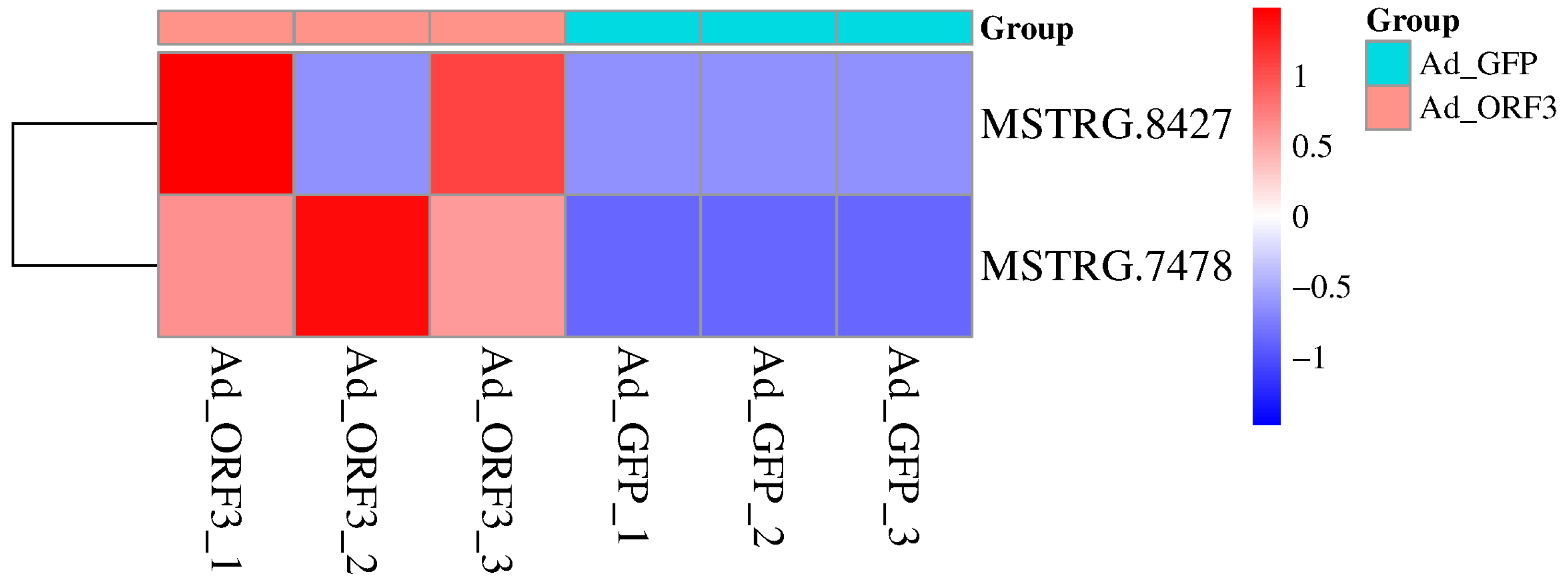 Microorganisms 13 02086 g001