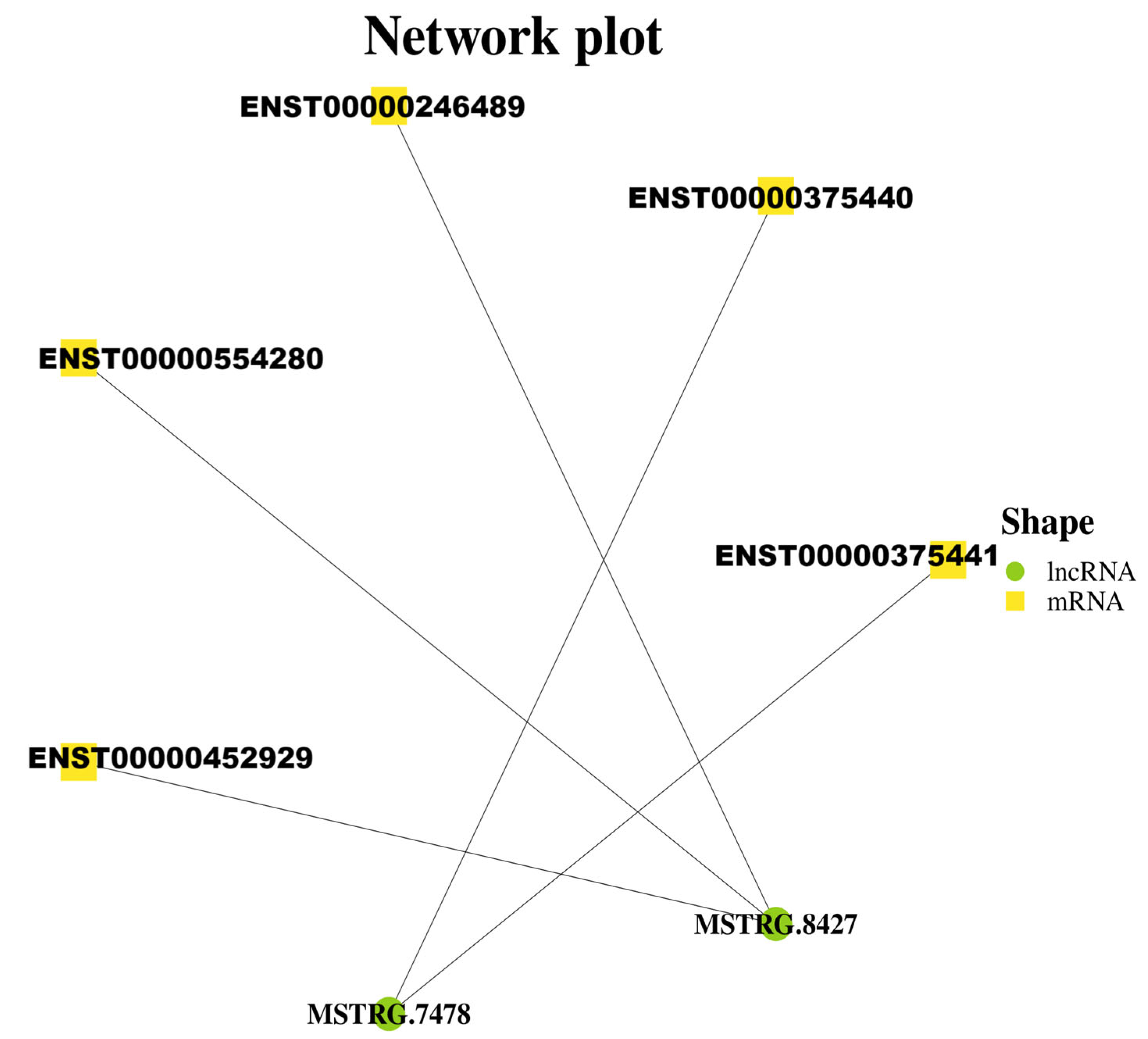 Microorganisms 13 02086 g003