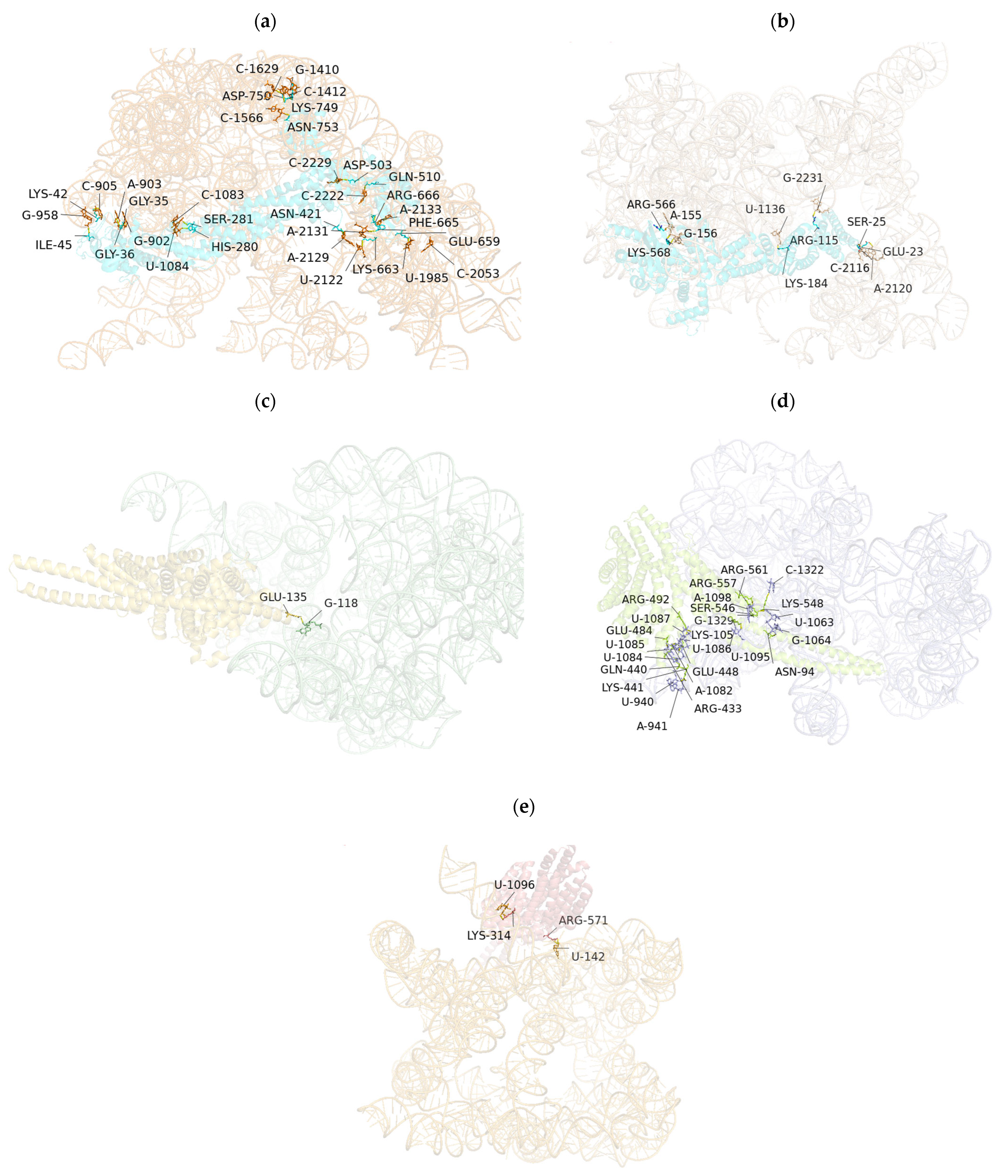 Microorganisms 13 02086 g004