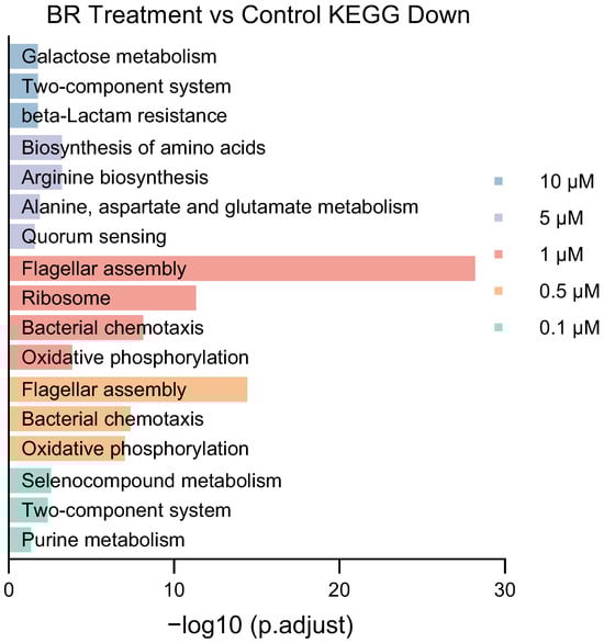 Microorganisms 13 02087 g0a1